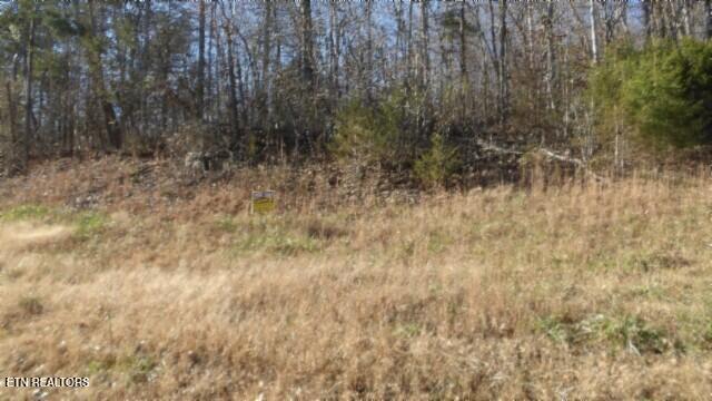 Lot 46 Cheyenne Drive Jamestown TN 38556