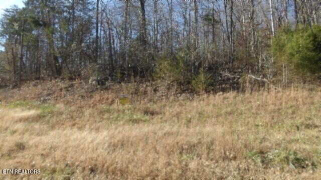 Lot 46 Cheyenne Drive Jamestown TN 38556