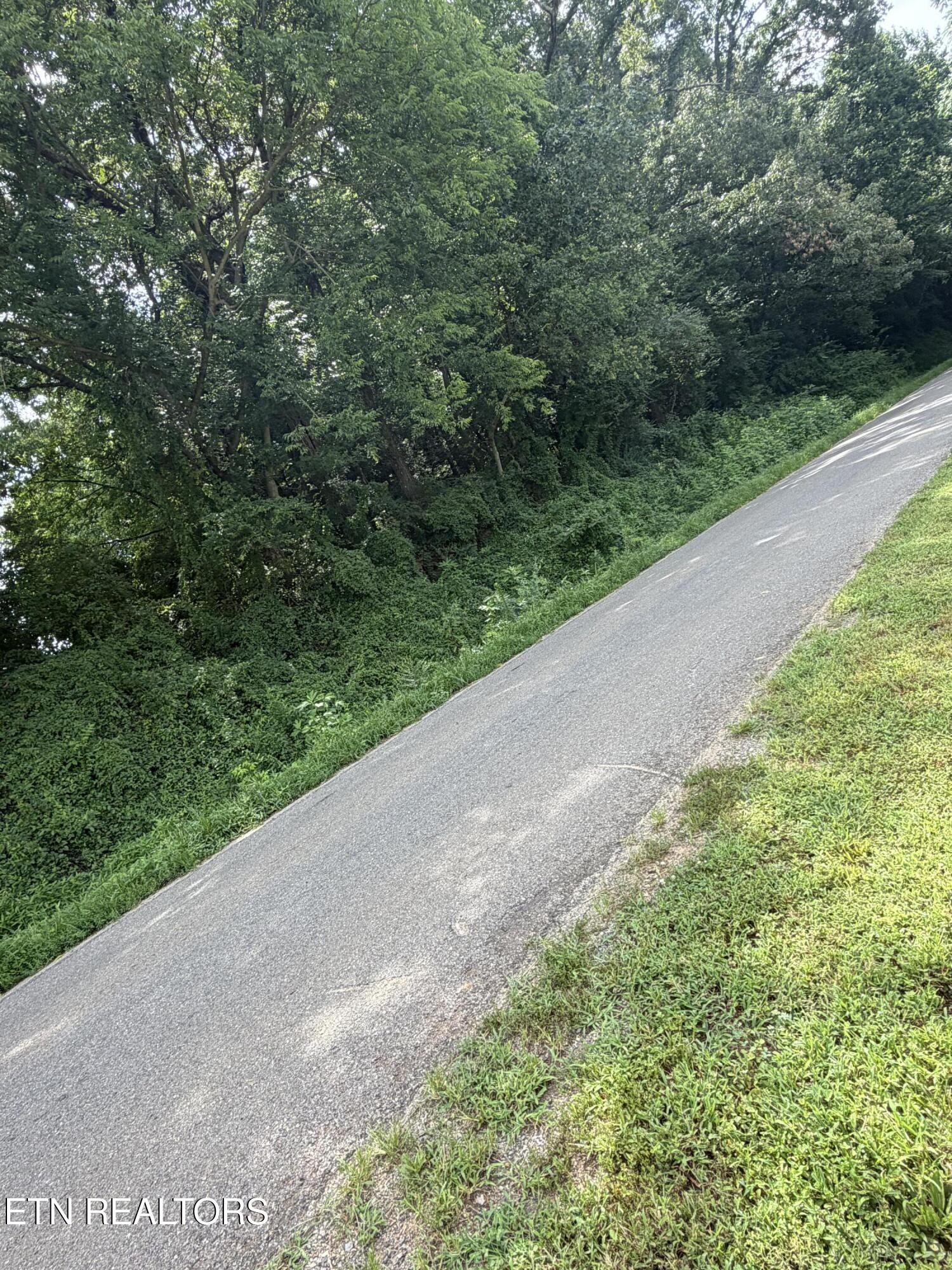 1.43 Ac Randolph Fridley Road Sweetwater TN 37874