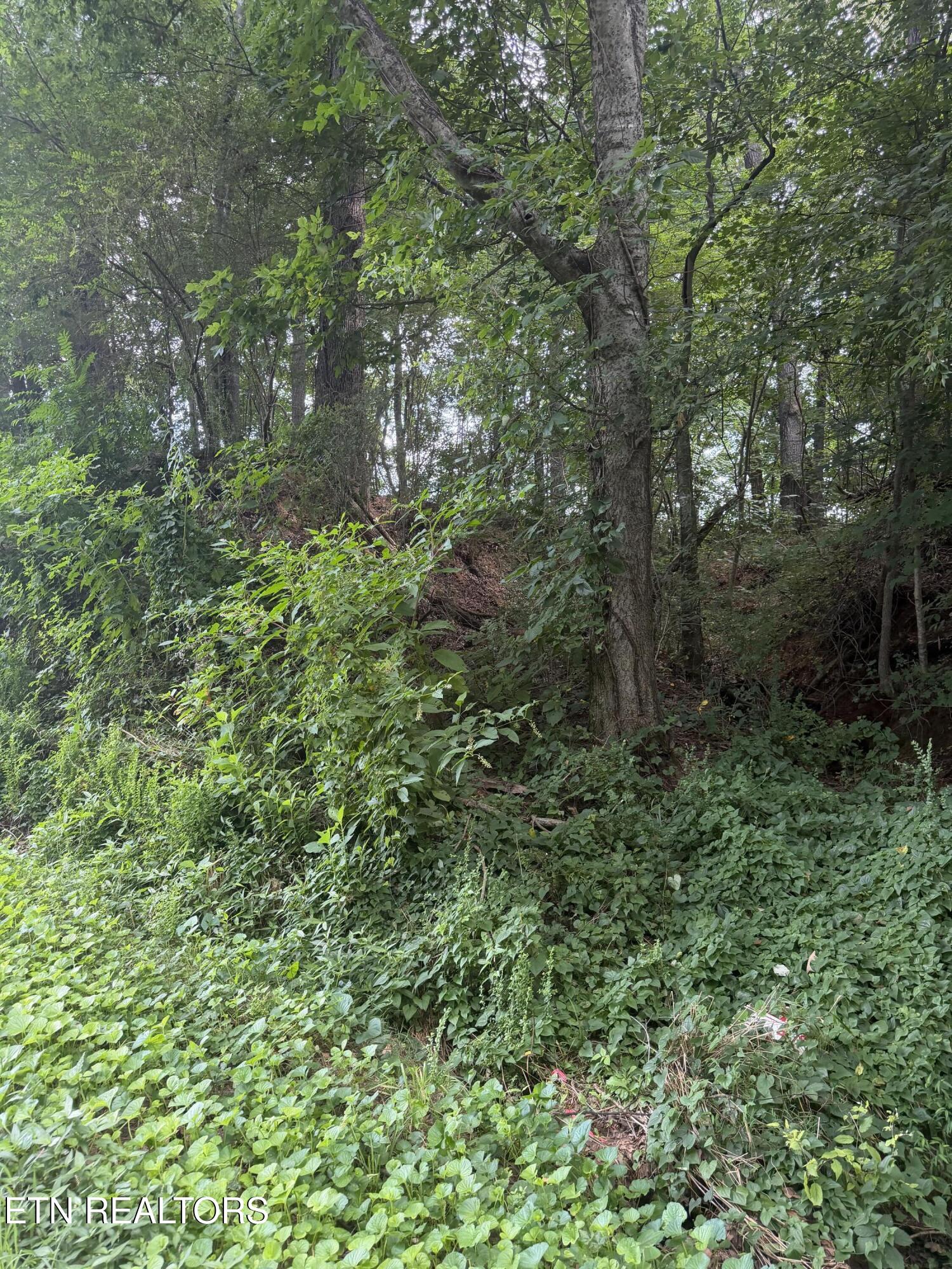 1.43 Ac Randolph Fridley Road Sweetwater TN 37874
