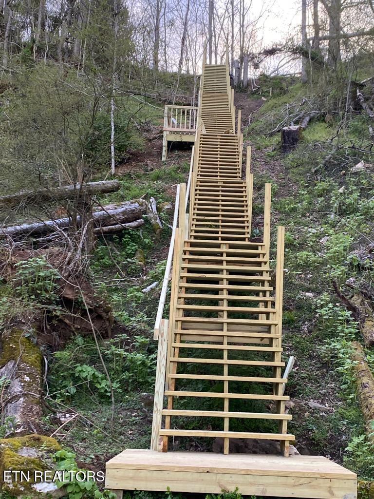 Lot 44 Holston River Drive Rutledge TN 37861