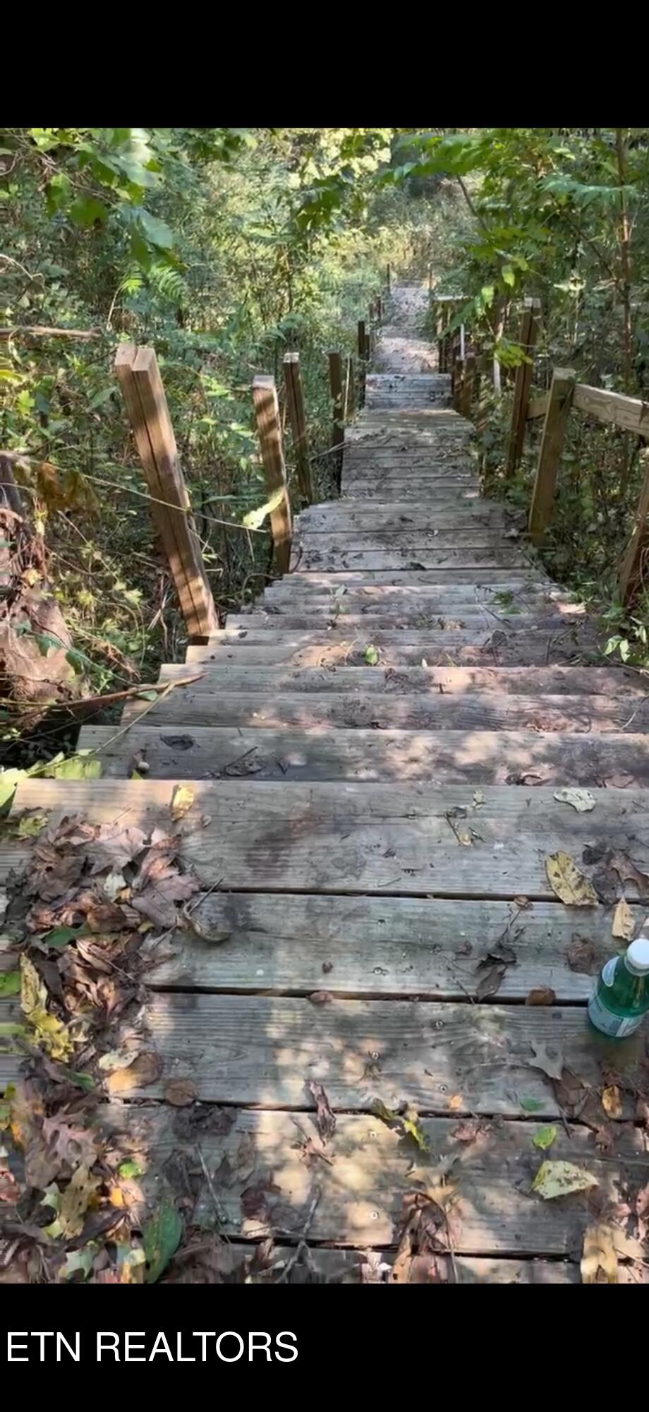 Lot 44 Holston River Drive Rutledge TN 37861