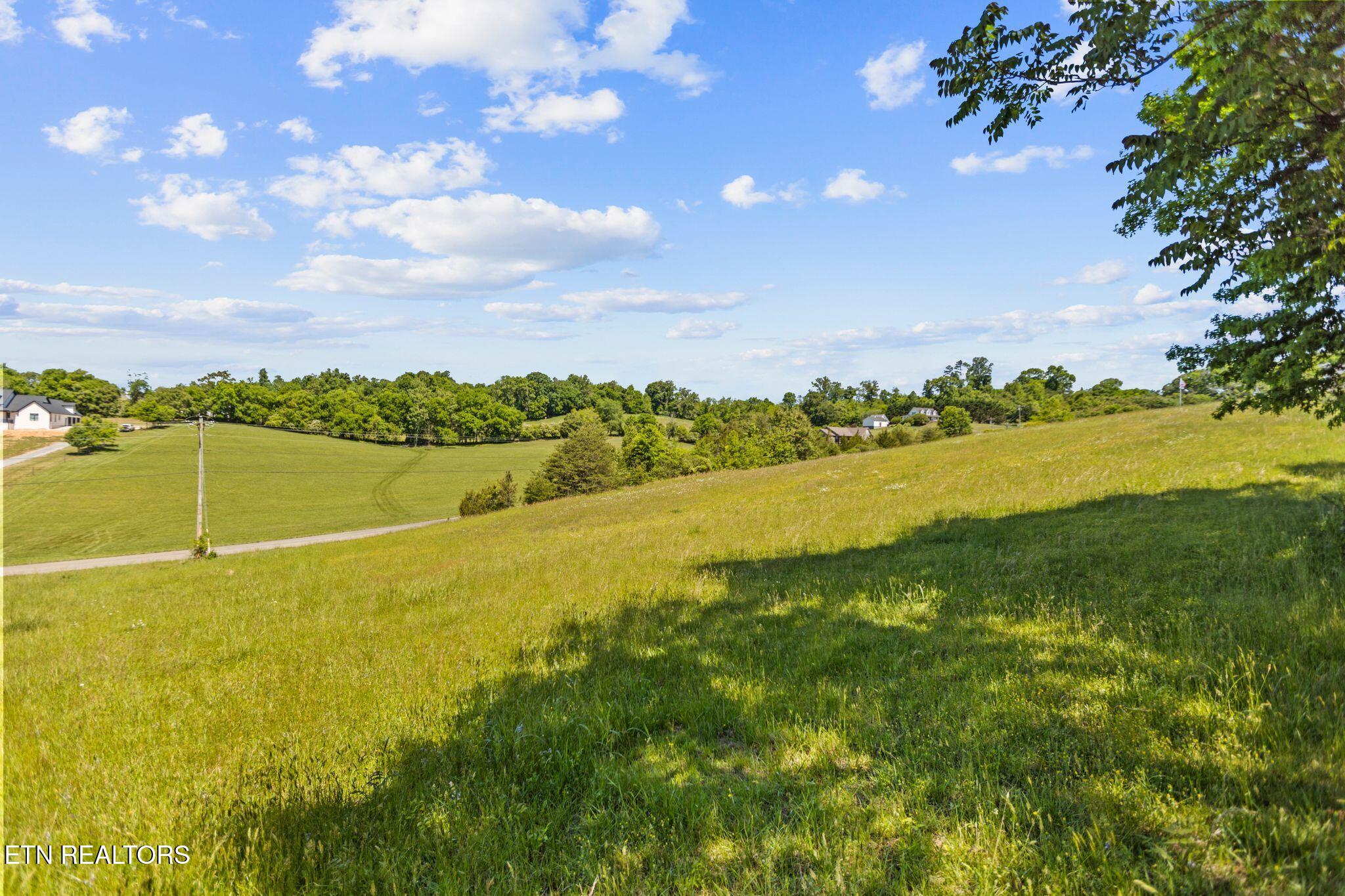 Lot 44 Holston River Drive Rutledge TN 37861