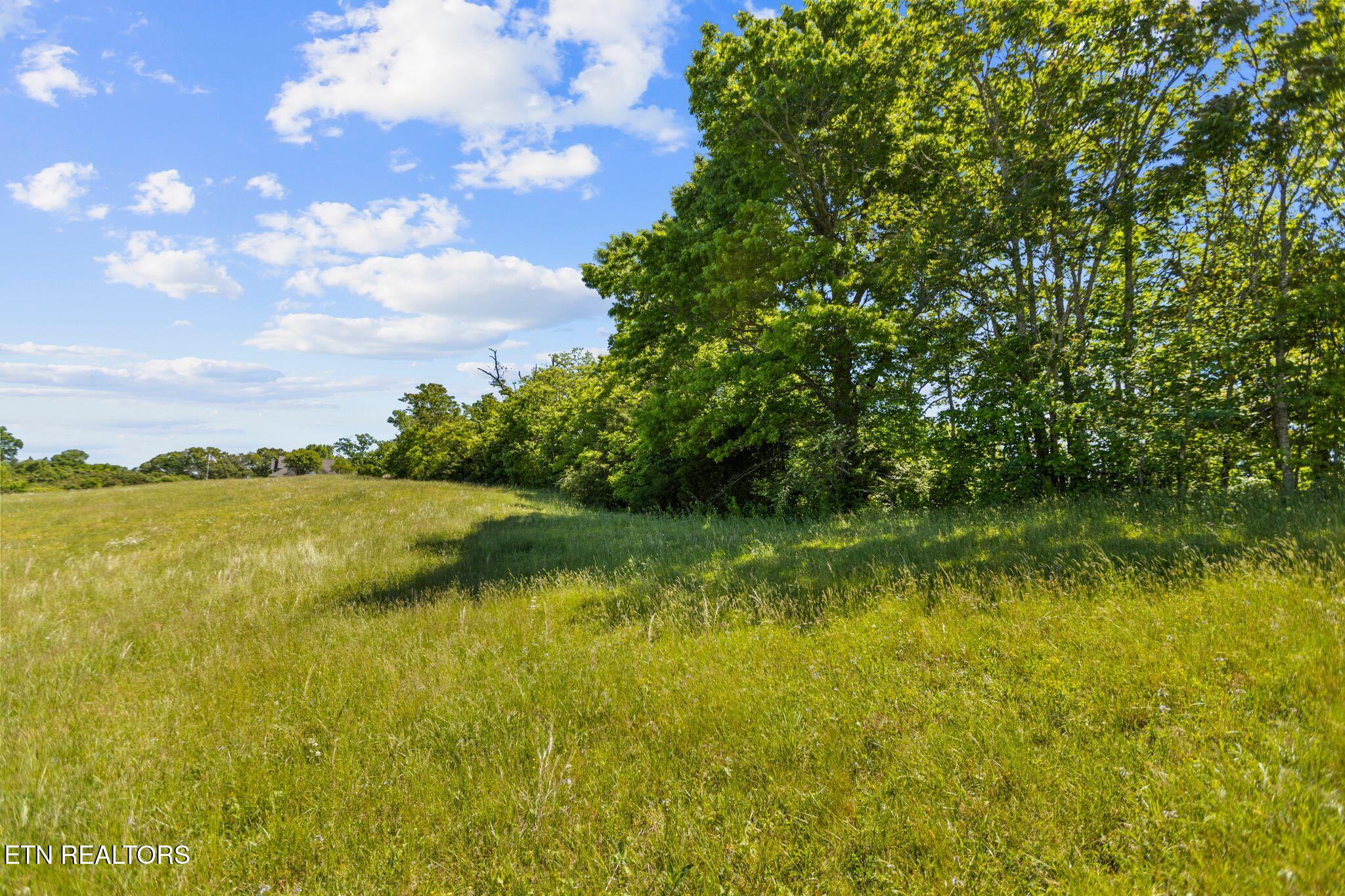 Lot 44 Holston River Drive Rutledge TN 37861