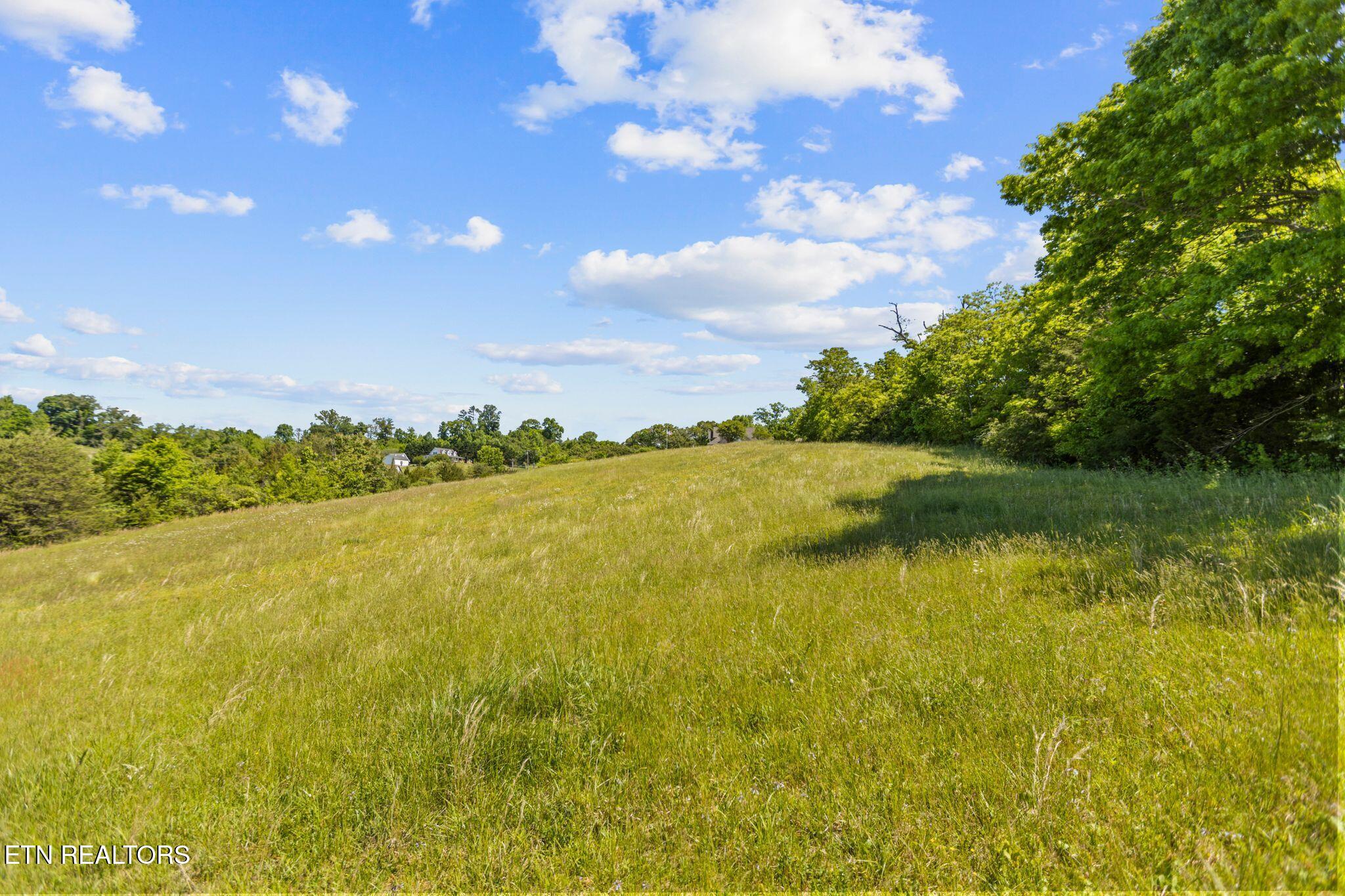 Lot 44 Holston River Drive Rutledge TN 37861
