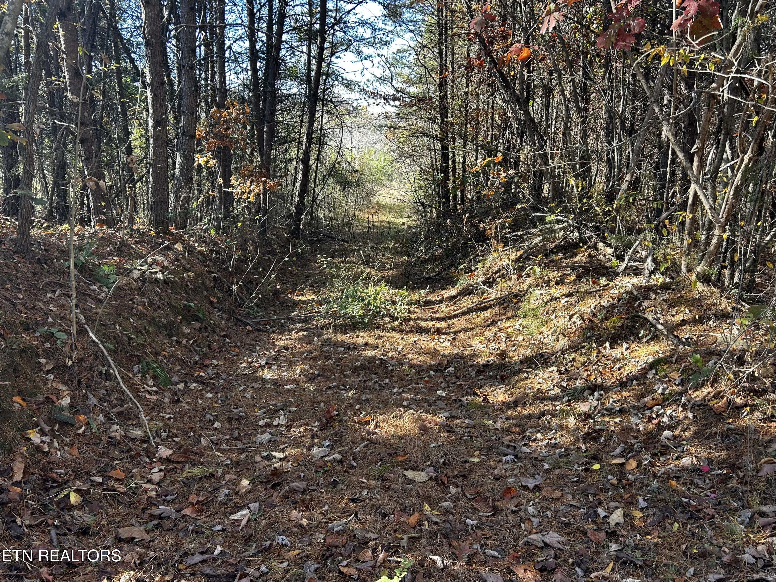 Shaddon Road Lot 2 Tellico Plains TN 37385