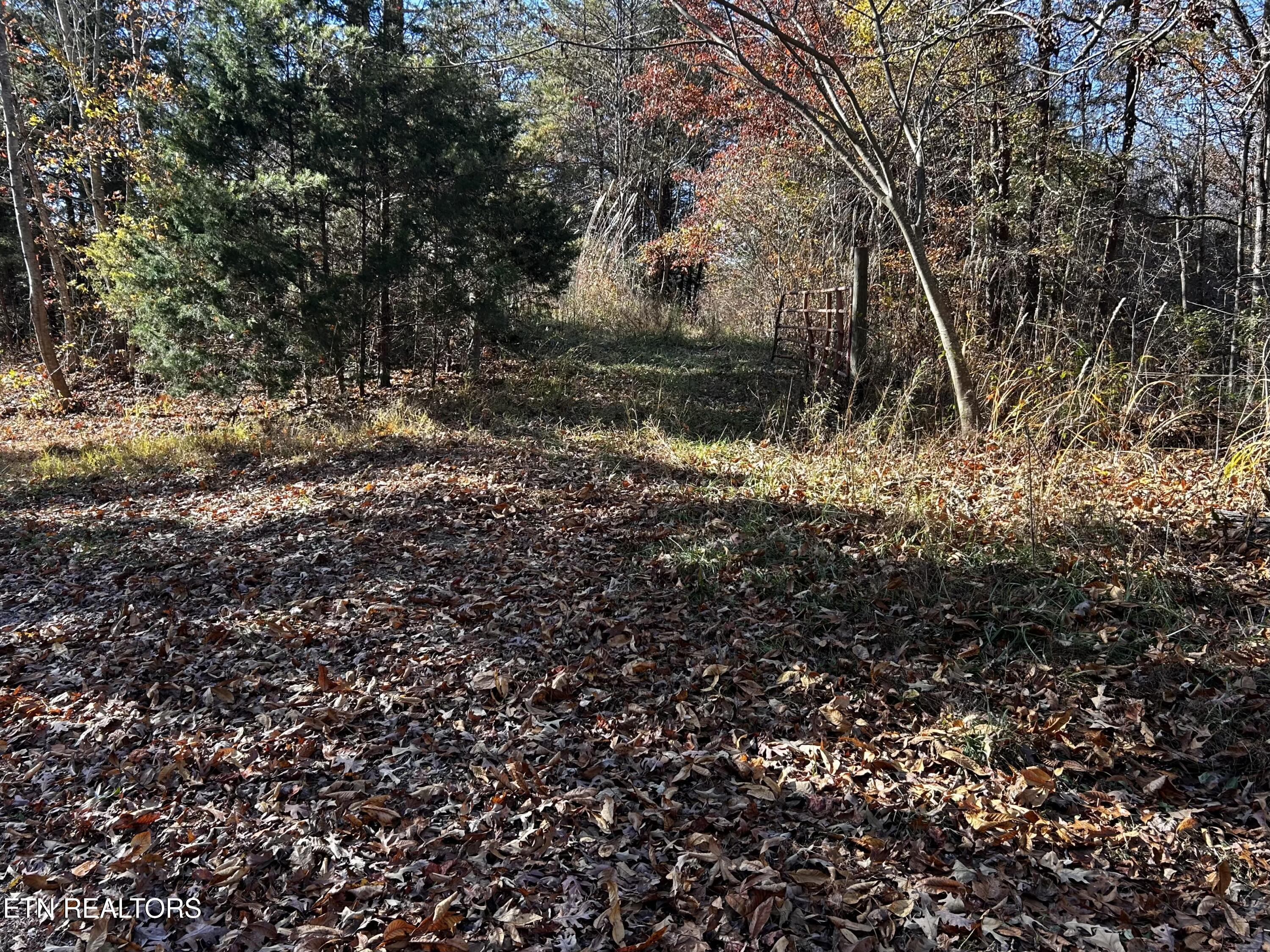 Shaddon Road Lot 2 Tellico Plains TN 37385