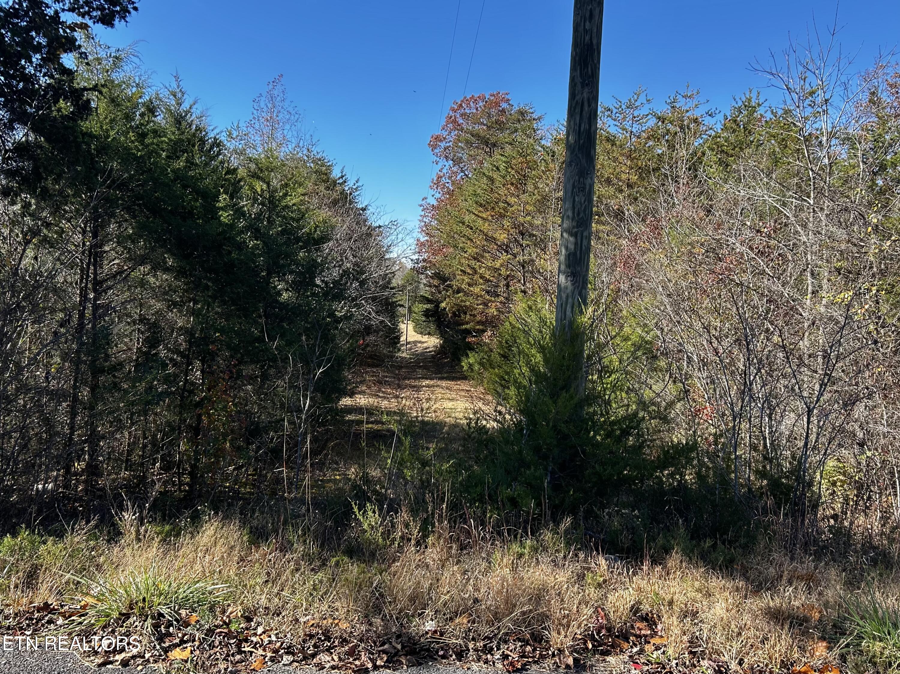 Shaddon Road Lot 2 Tellico Plains TN 37385