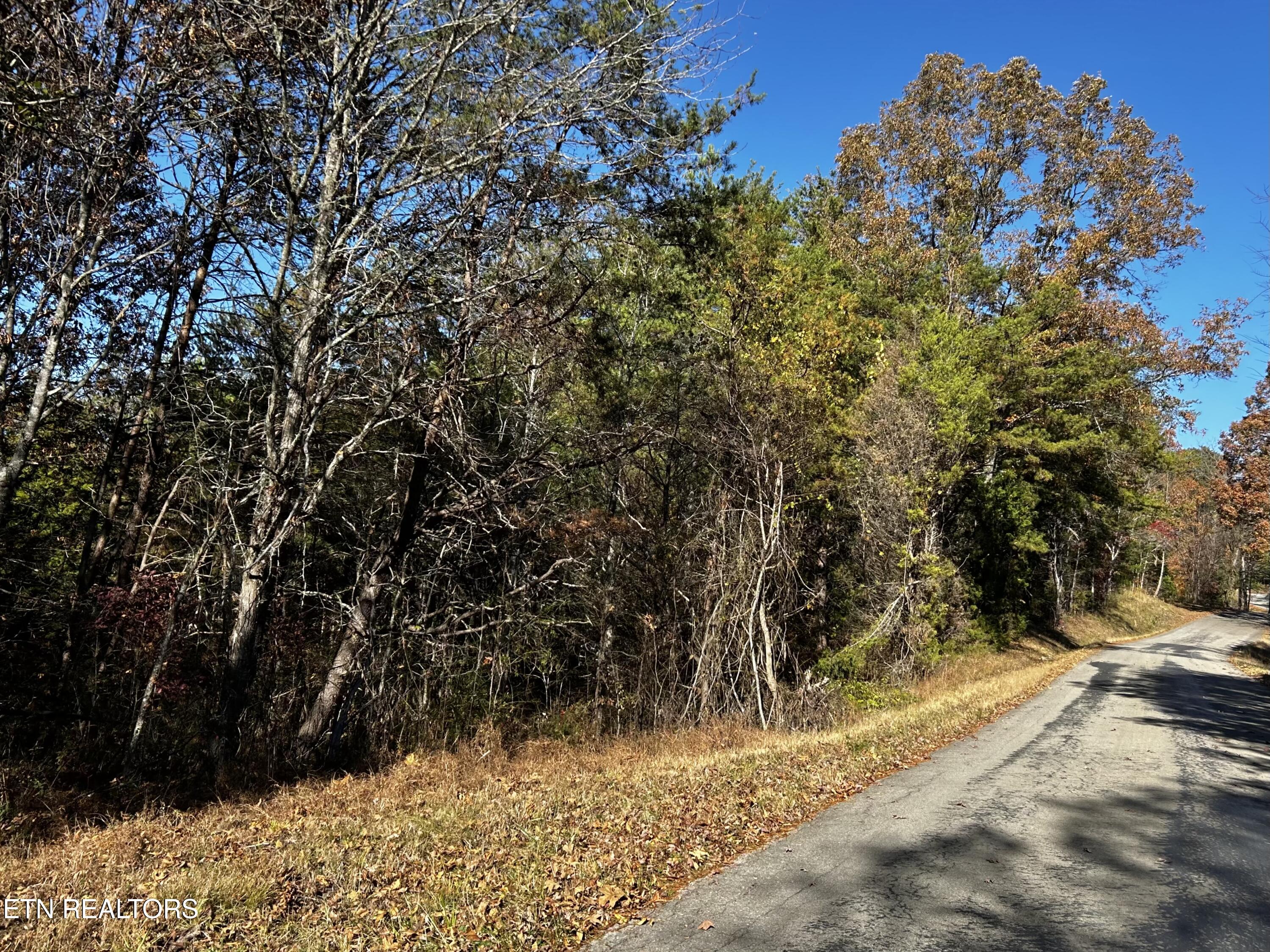 Shaddon Road Lot 2 Tellico Plains TN 37385