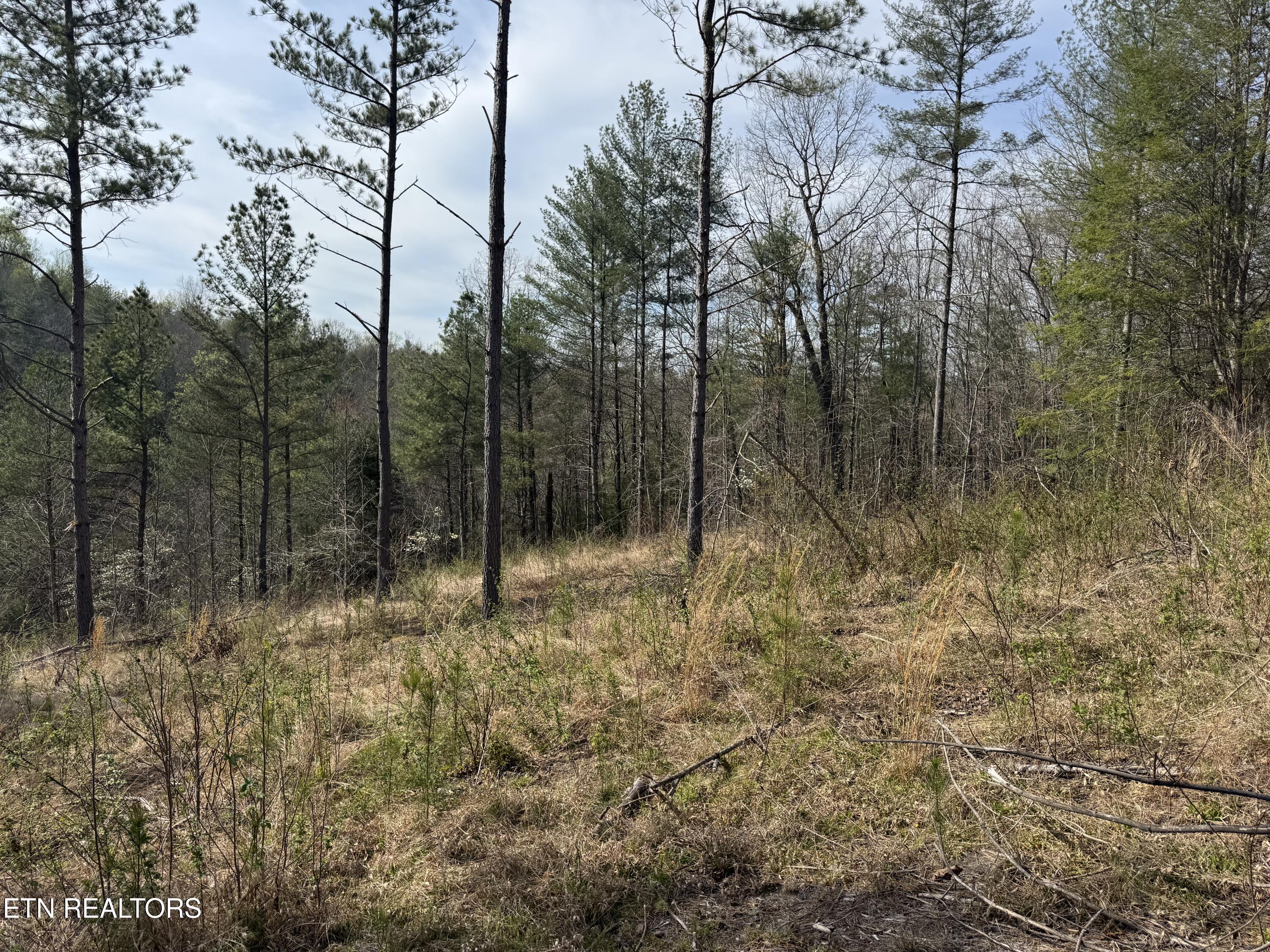0 Burrville Road Sunbright TN 37872