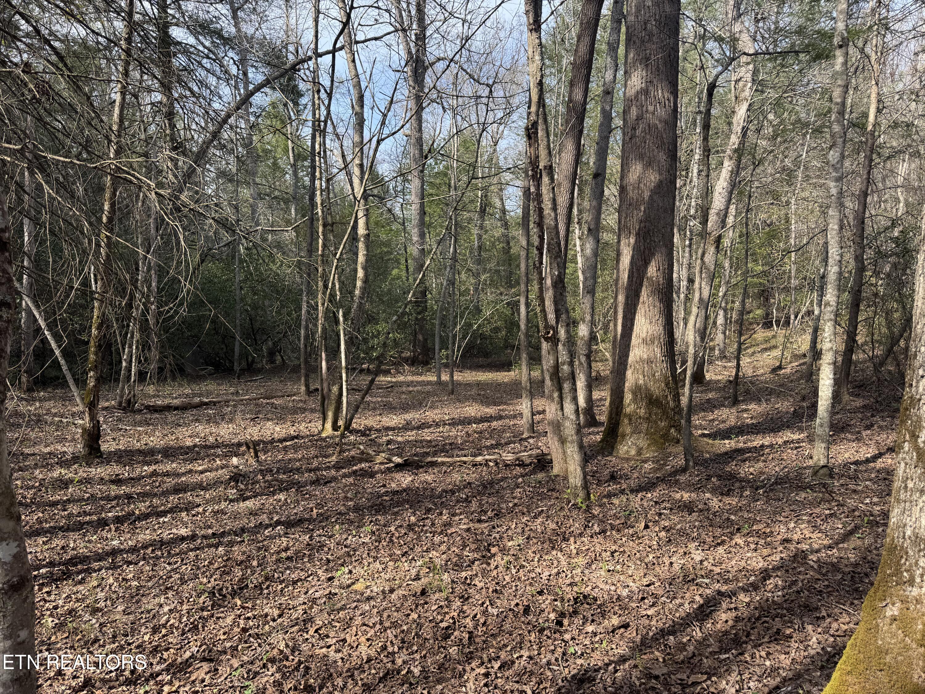 0 Burrville Road Sunbright TN 37872
