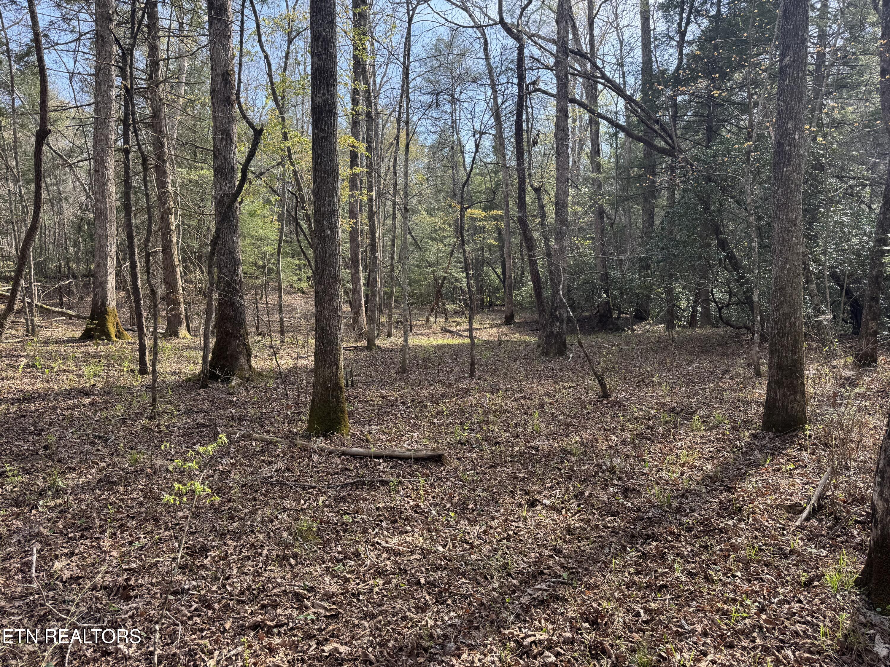 0 Burrville Road Sunbright TN 37872