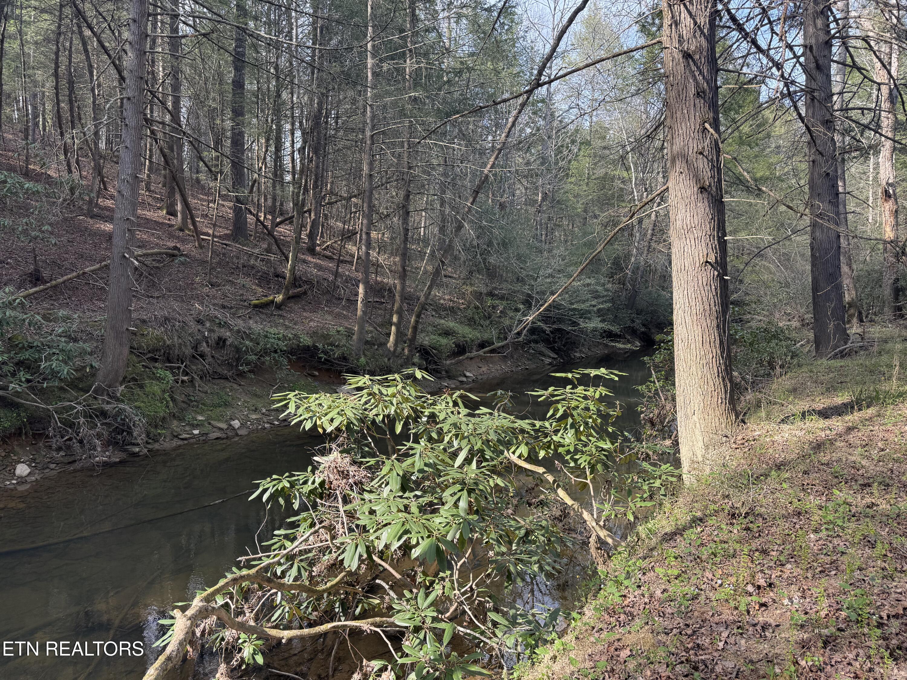 0 Burrville Road Sunbright TN 37872