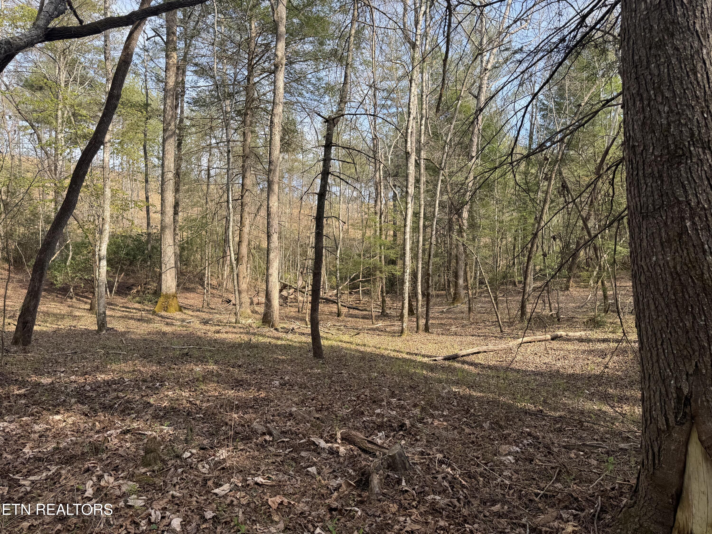 0 Burrville Road Sunbright TN 37872