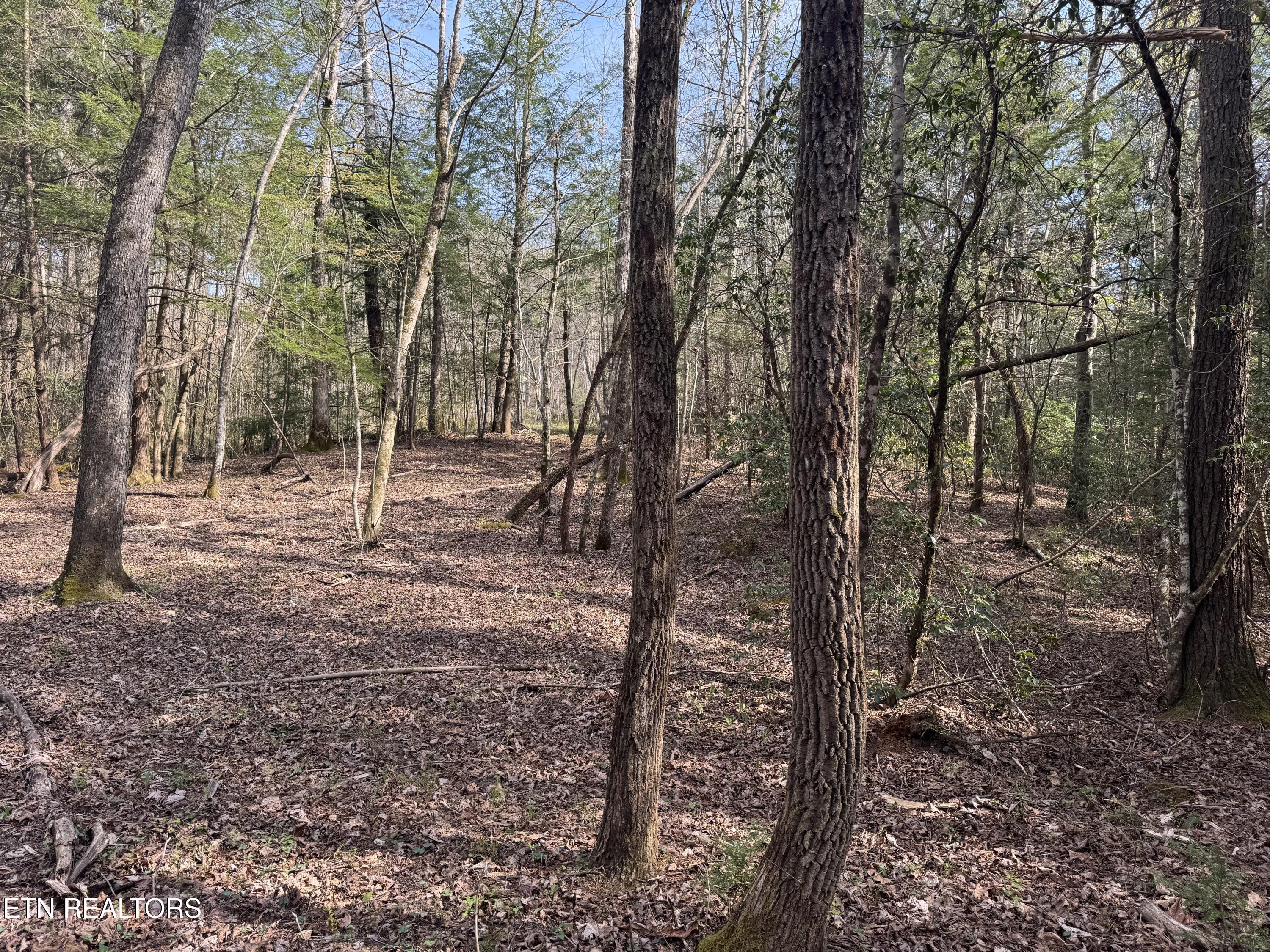0 Burrville Road Sunbright TN 37872