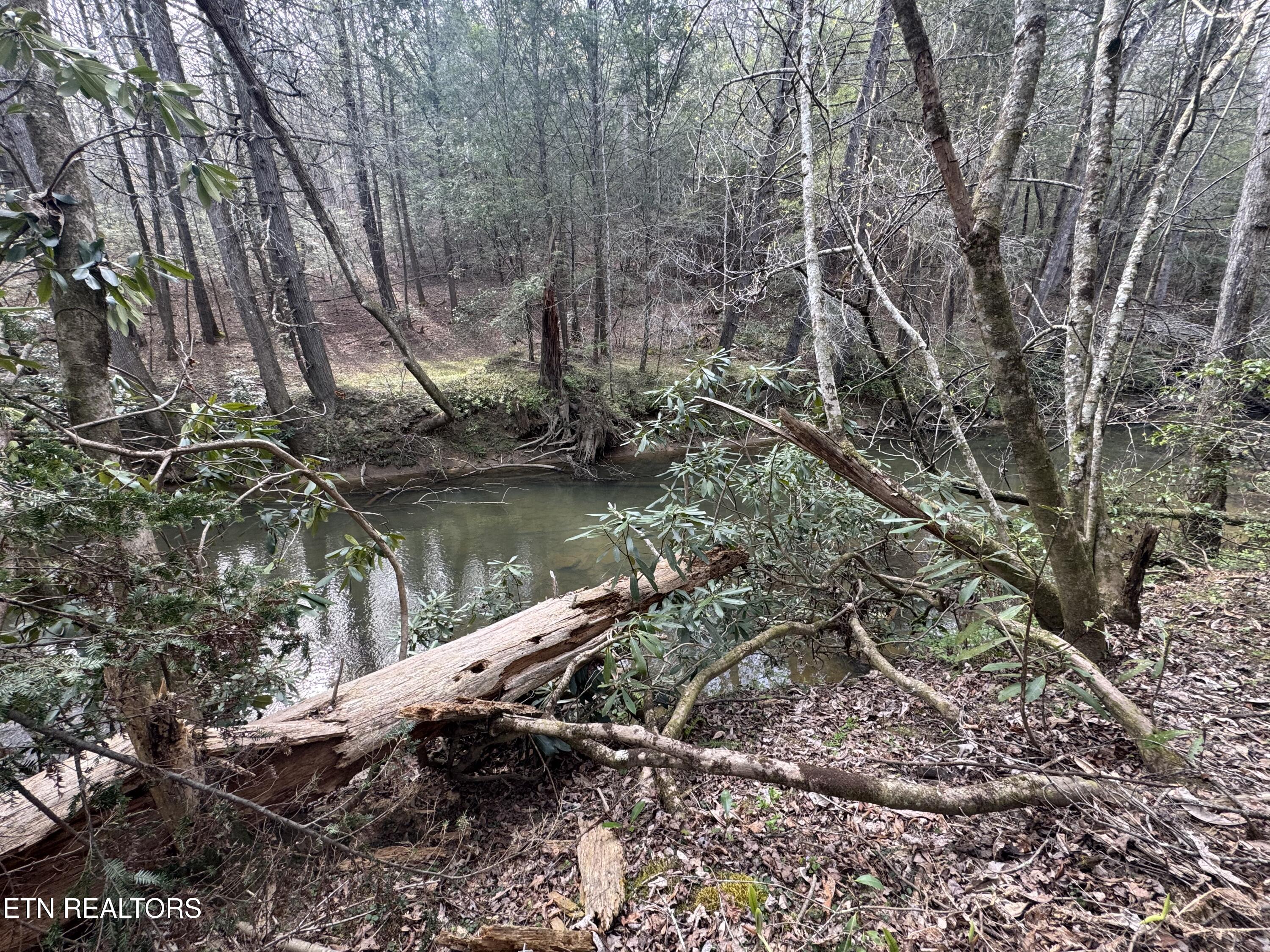 0 Burrville Road Sunbright TN 37872