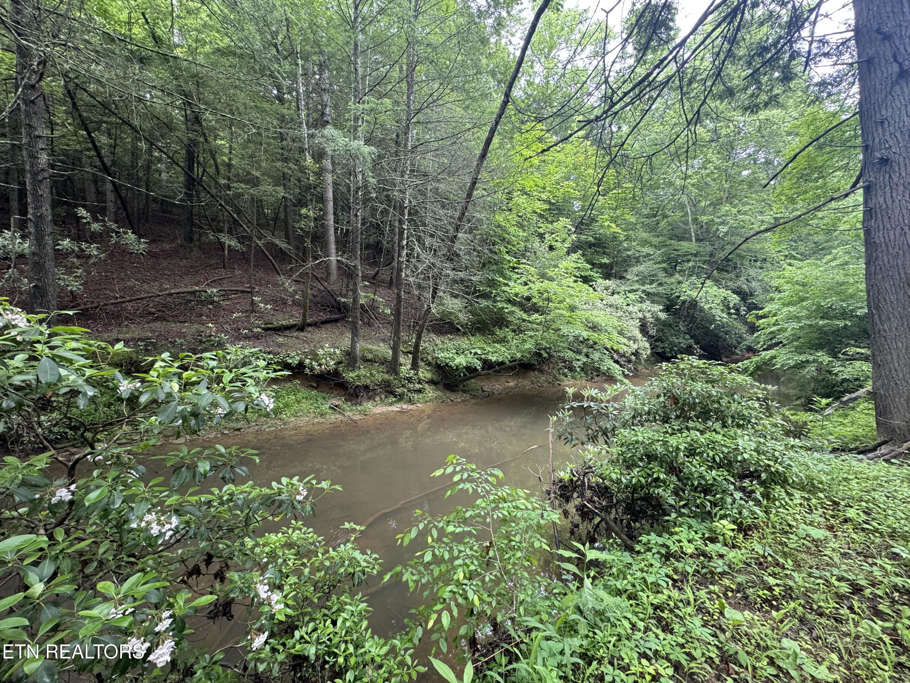 0 Burrville Road Sunbright TN 37872