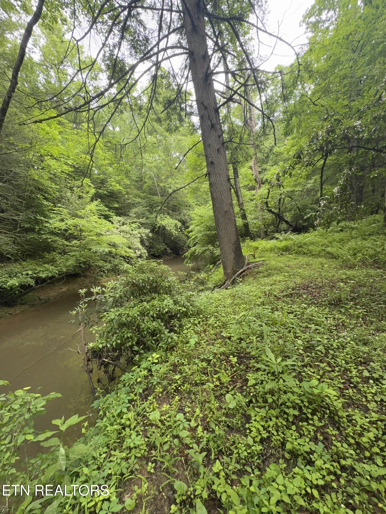 0 Burrville Road Sunbright TN 37872