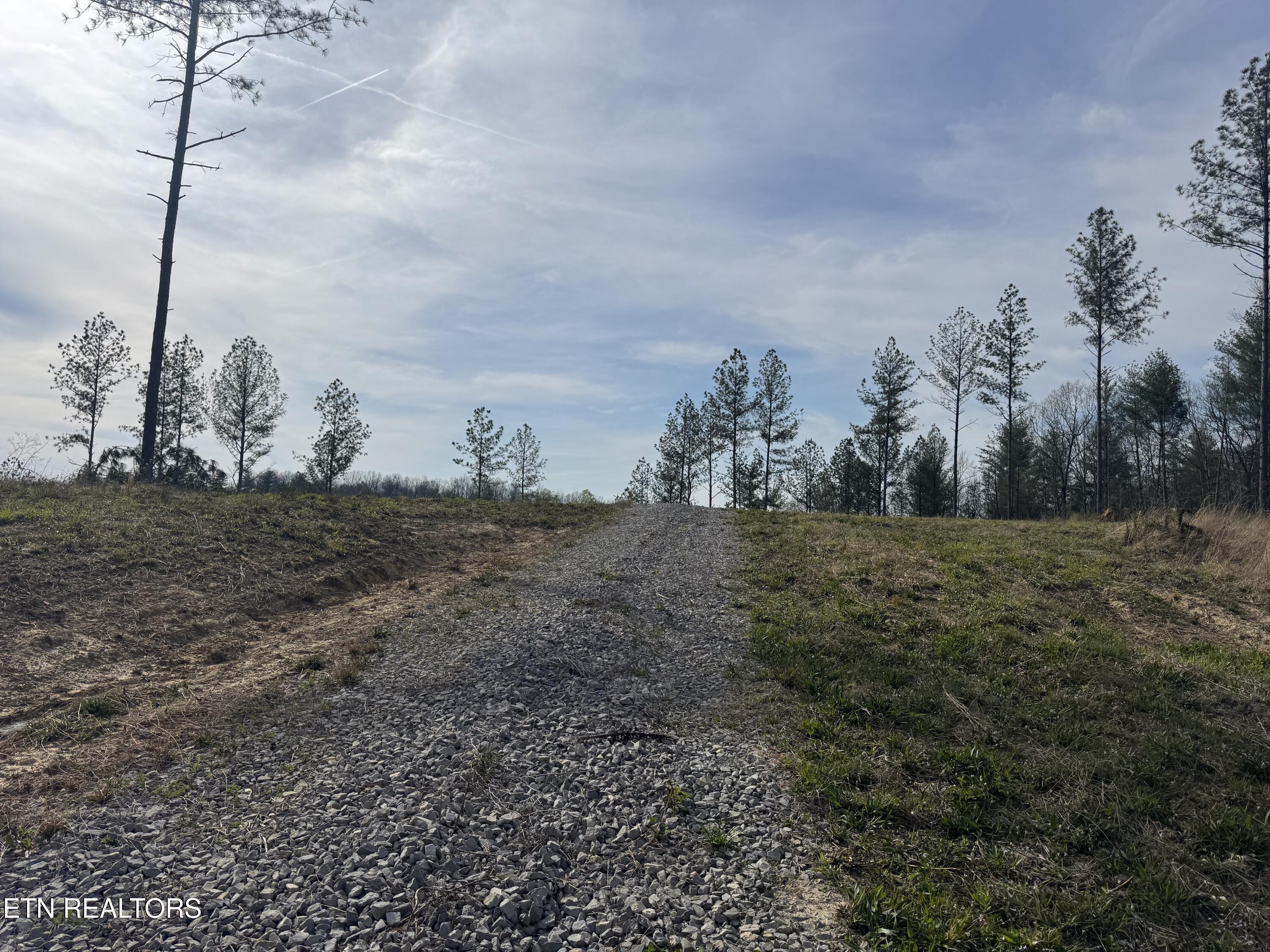 0 Burrville Road Sunbright TN 37872