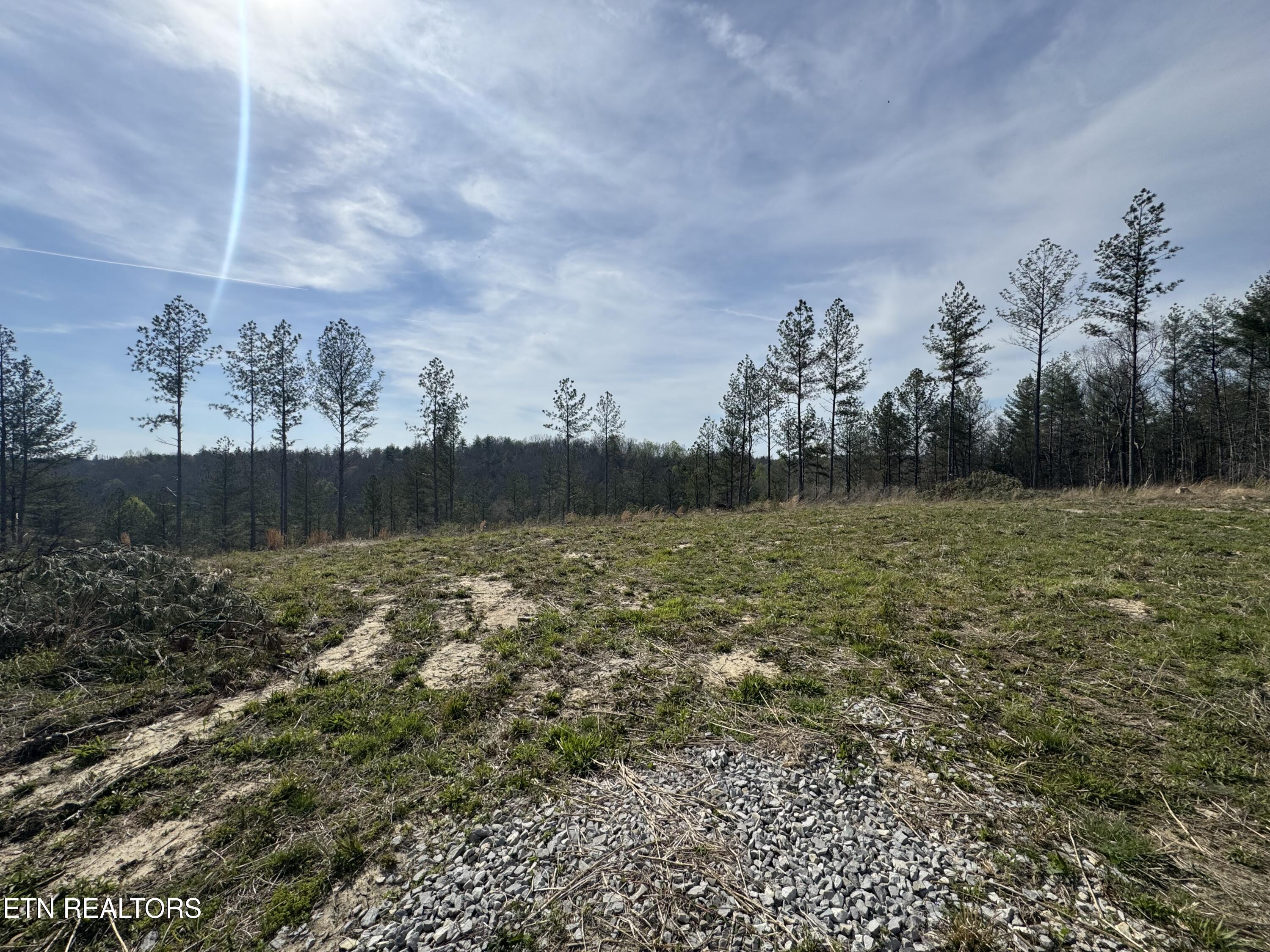 0 Burrville Road Sunbright TN 37872