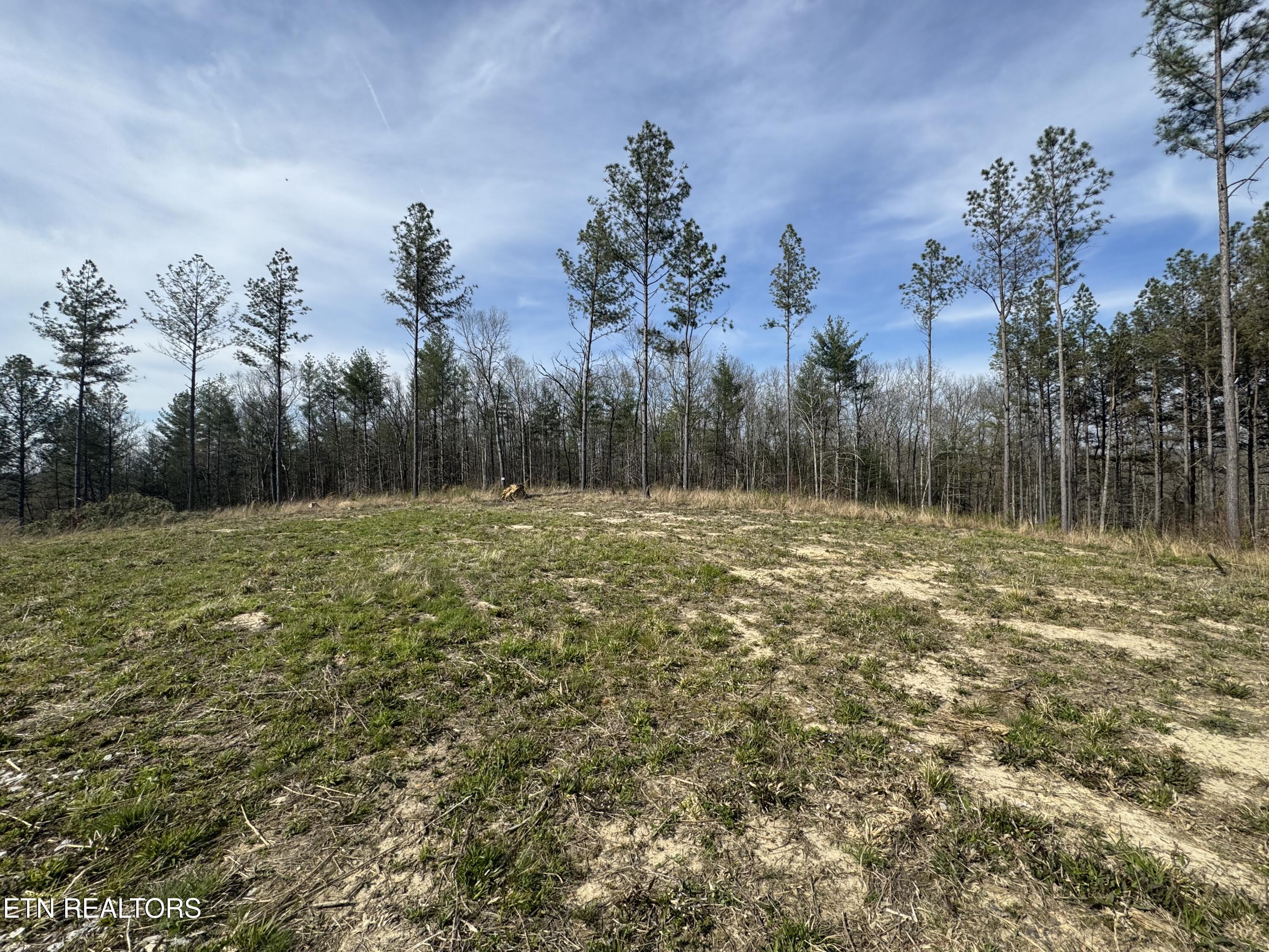 0 Burrville Road Sunbright TN 37872