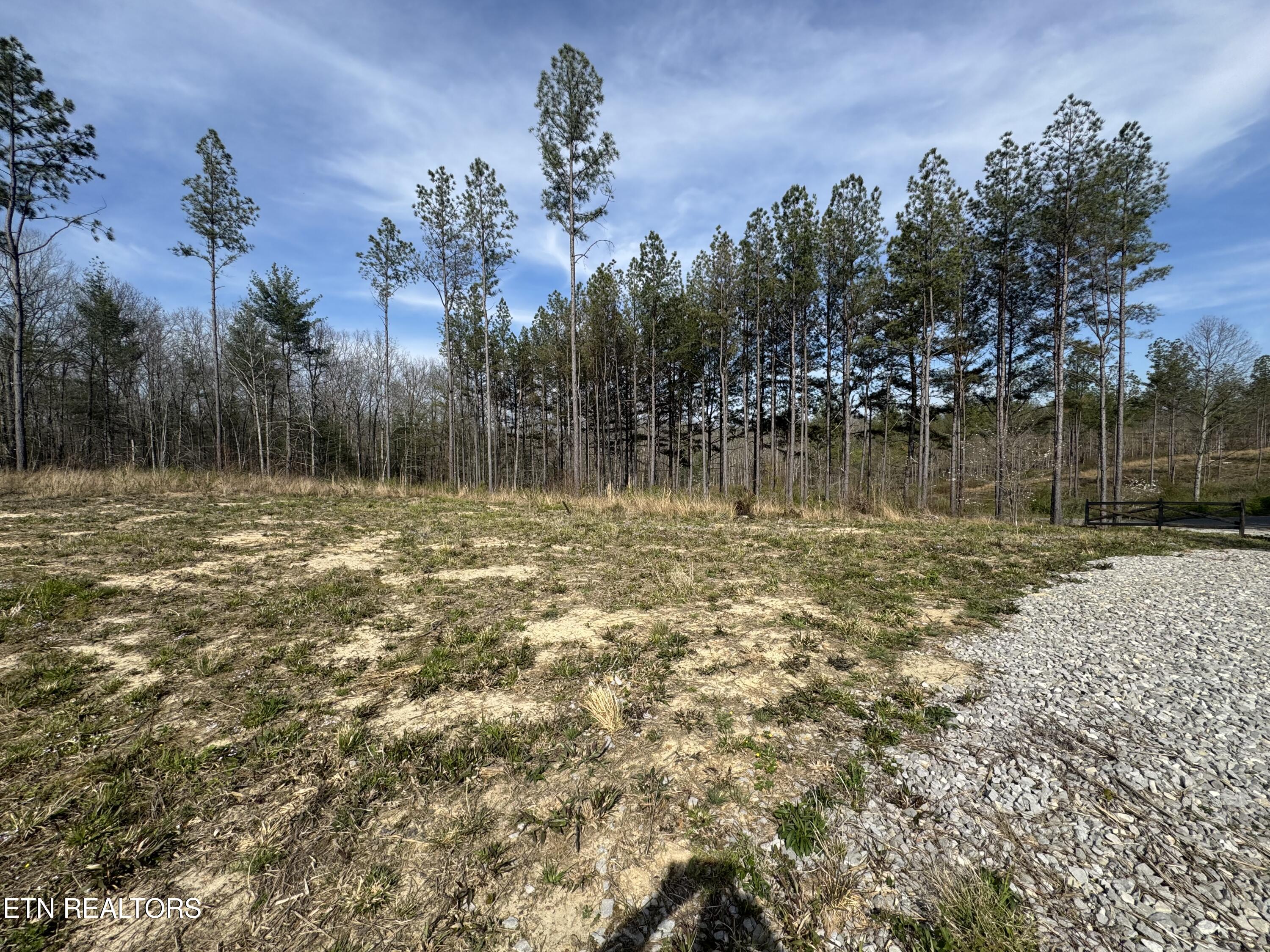 0 Burrville Road Sunbright TN 37872