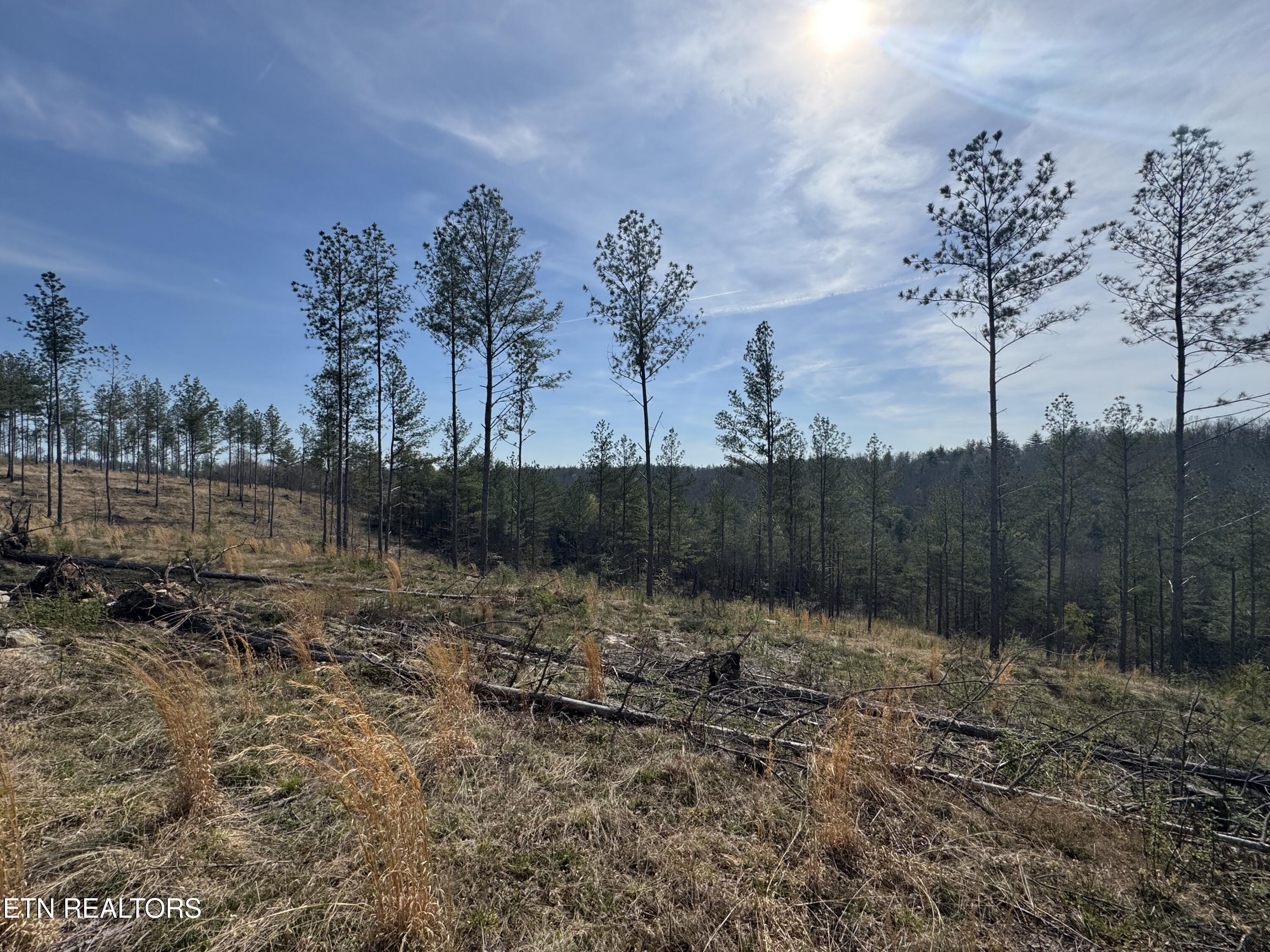 0 Burrville Road Sunbright TN 37872