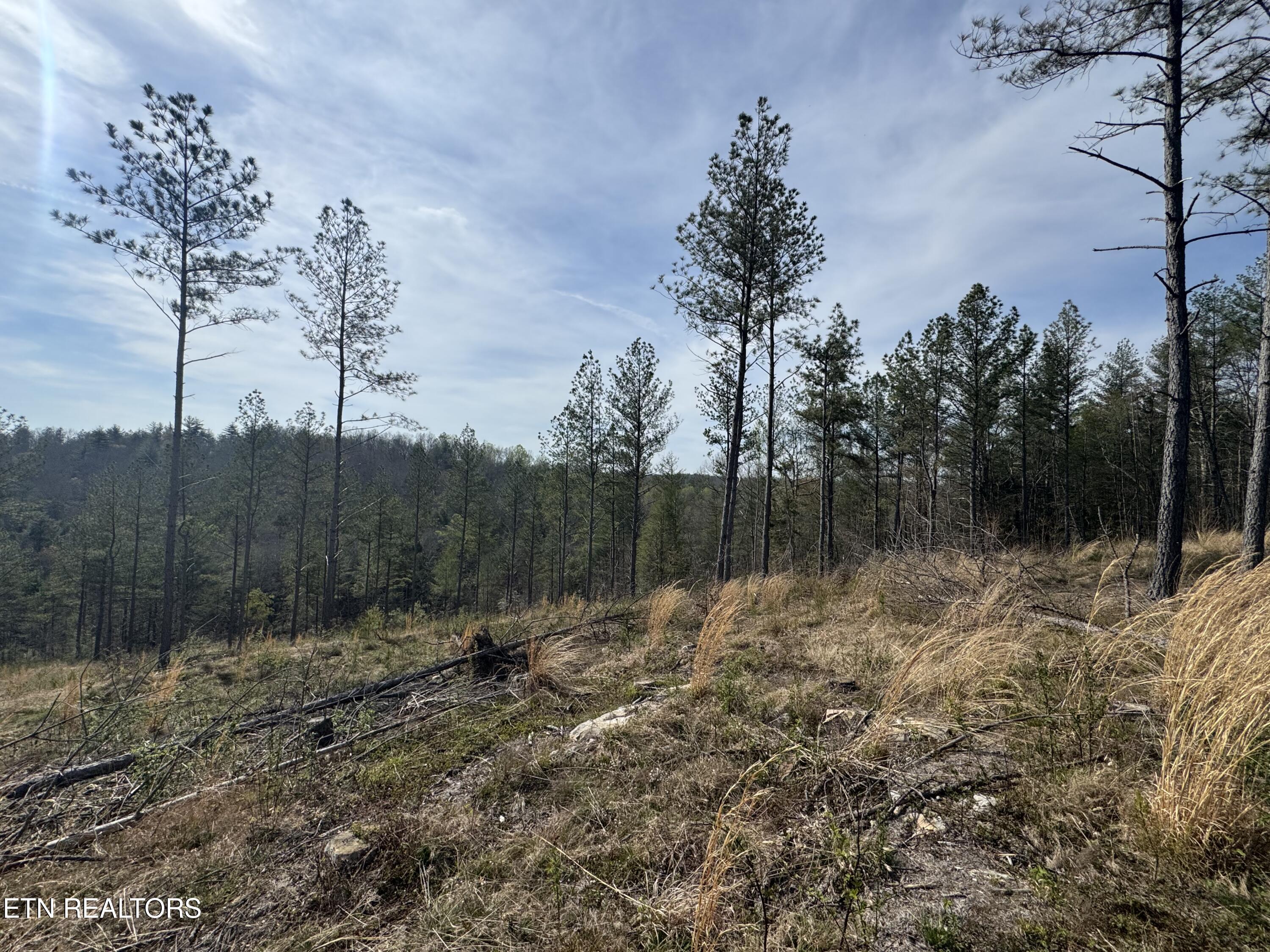 0 Burrville Road Sunbright TN 37872