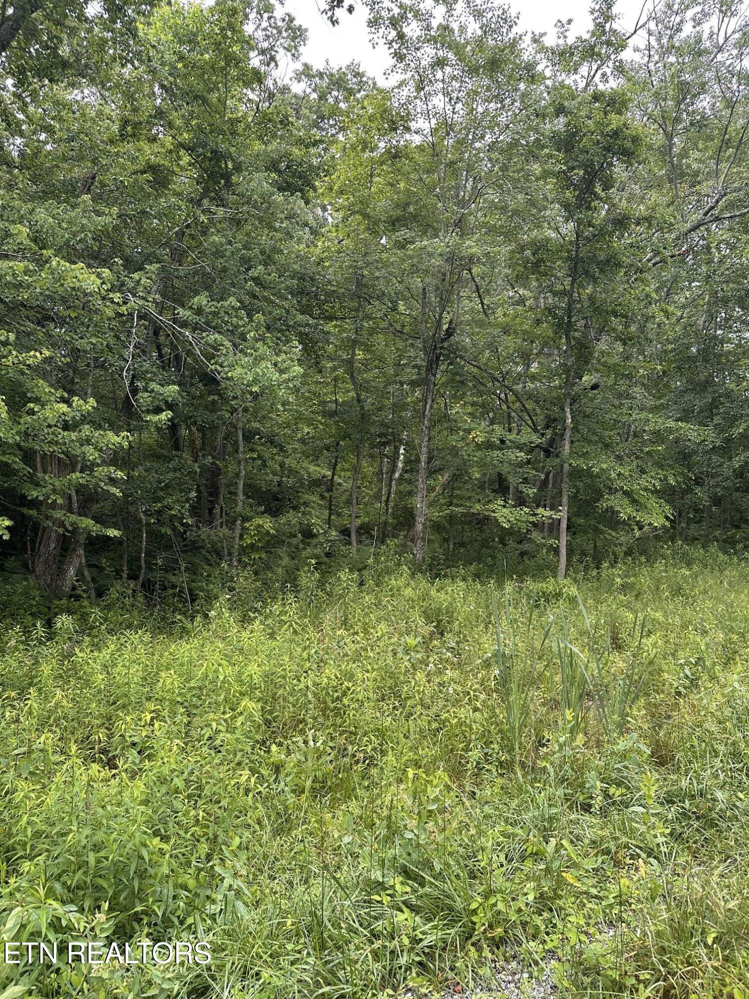 3119 Crow Drive Crossville TN 38572