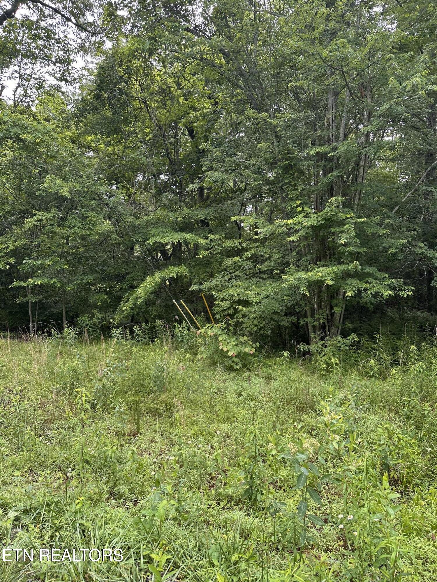 3119 Crow Drive Crossville TN 38572