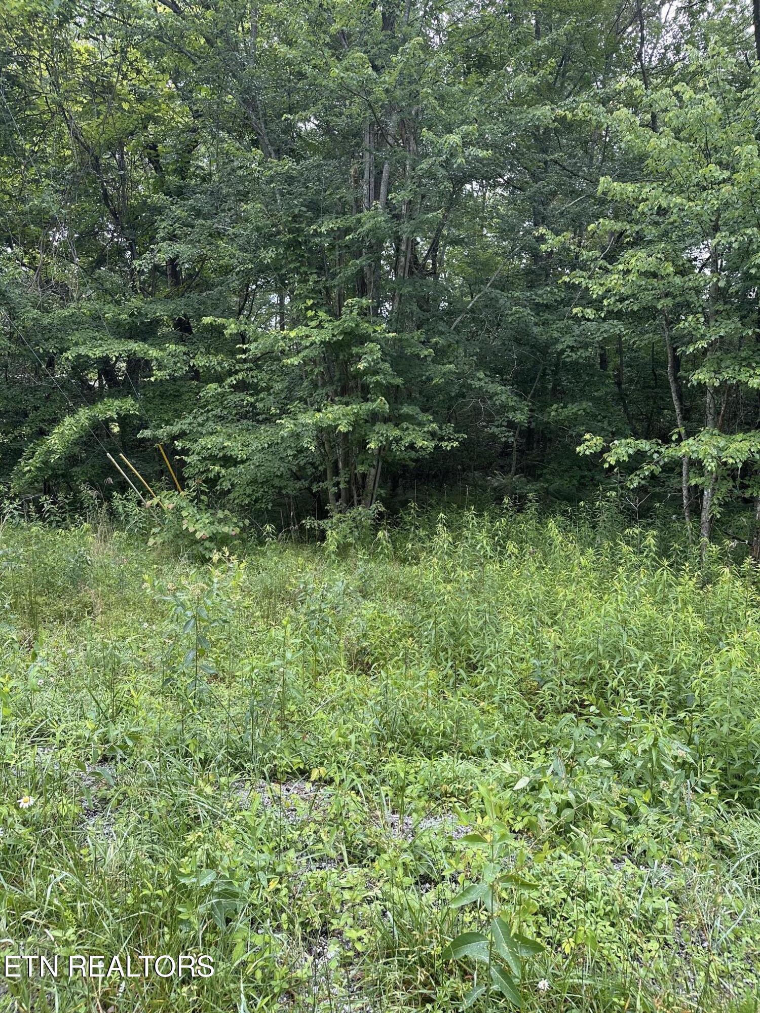 3119 Crow Drive Crossville TN 38572