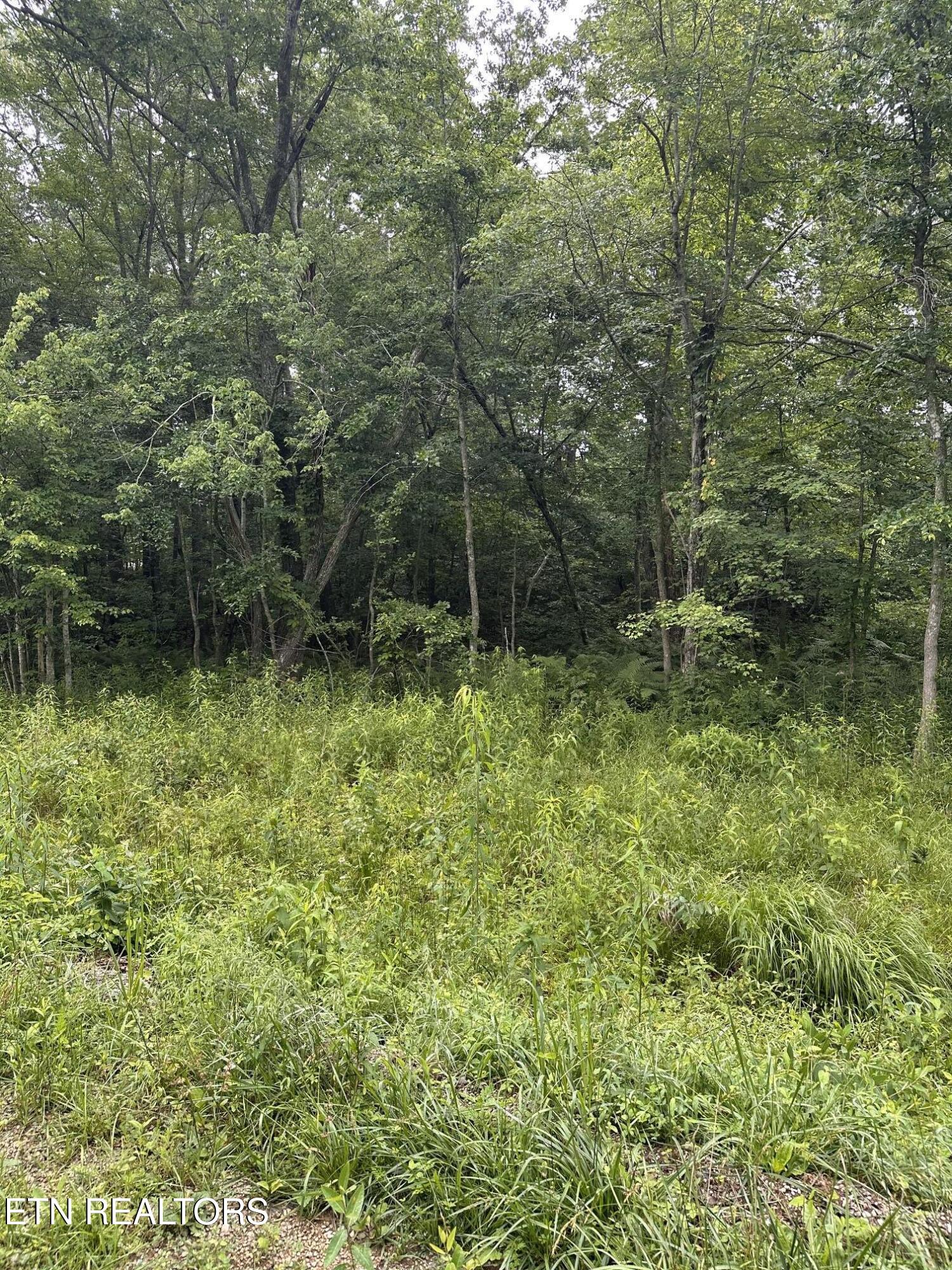 3119 Crow Drive Crossville TN 38572