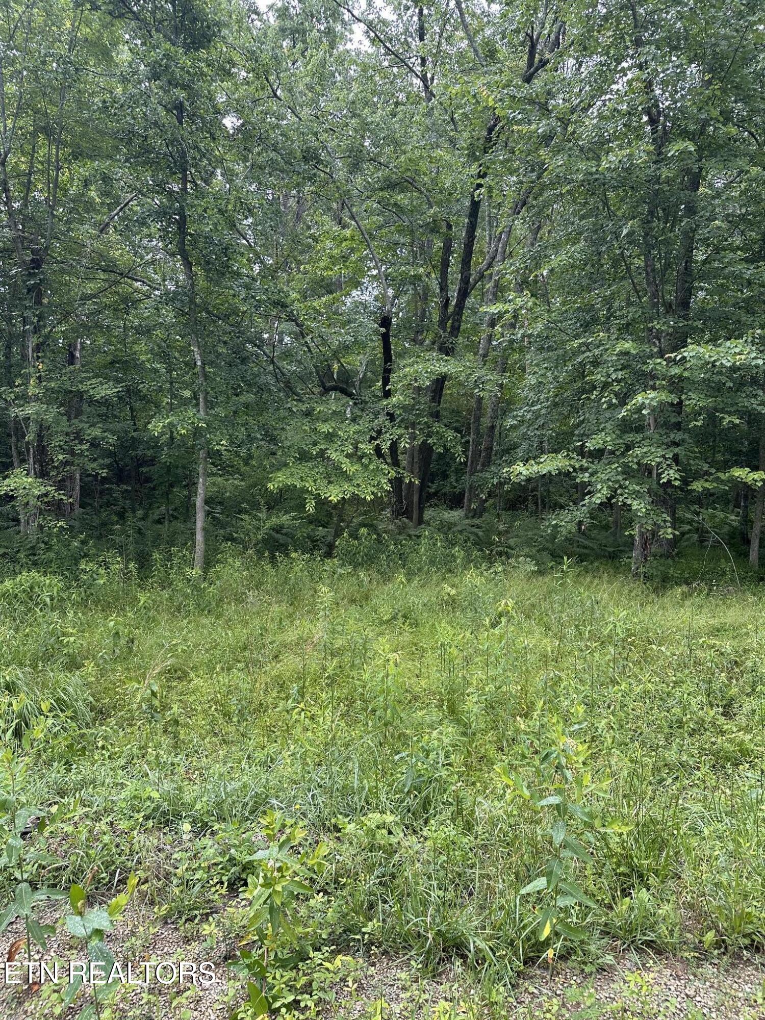 3119 Crow Drive Crossville TN 38572