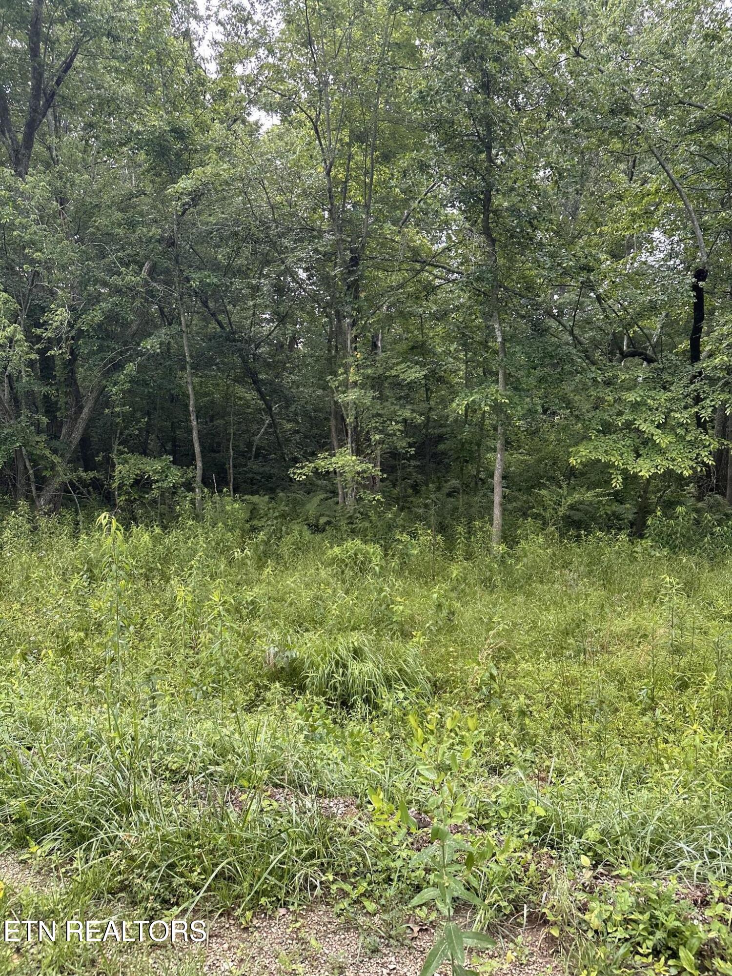 3119 Crow Drive Crossville TN 38572
