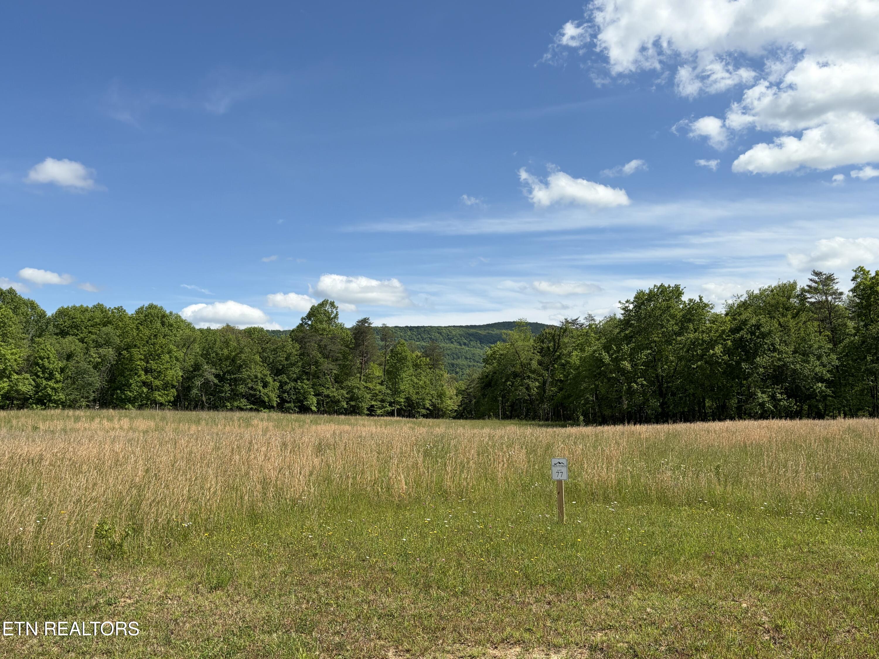 L. 78 & 79 Marie Lane Crossville TN 38555
