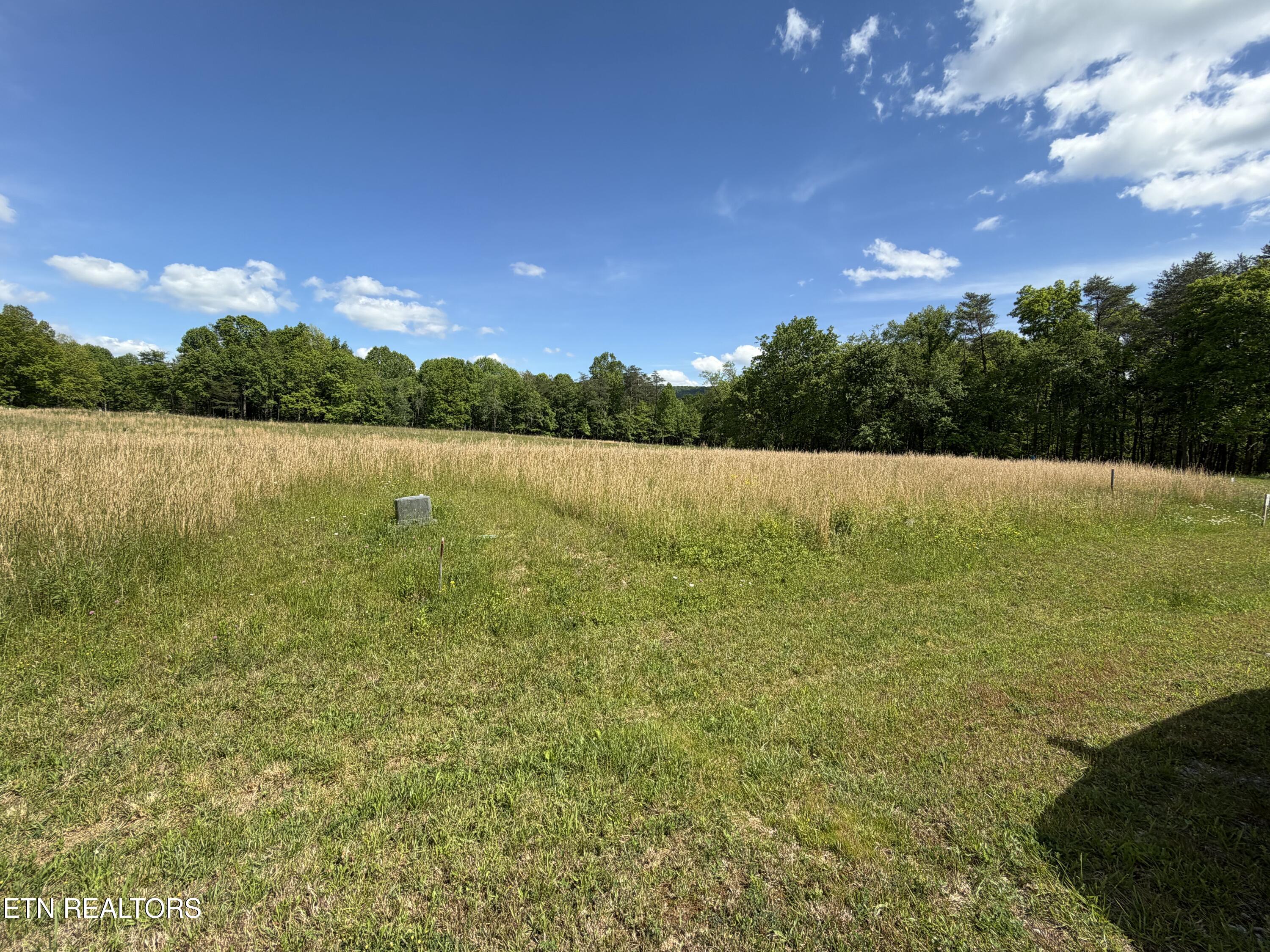 L. 78 & 79 Marie Lane Crossville TN 38555