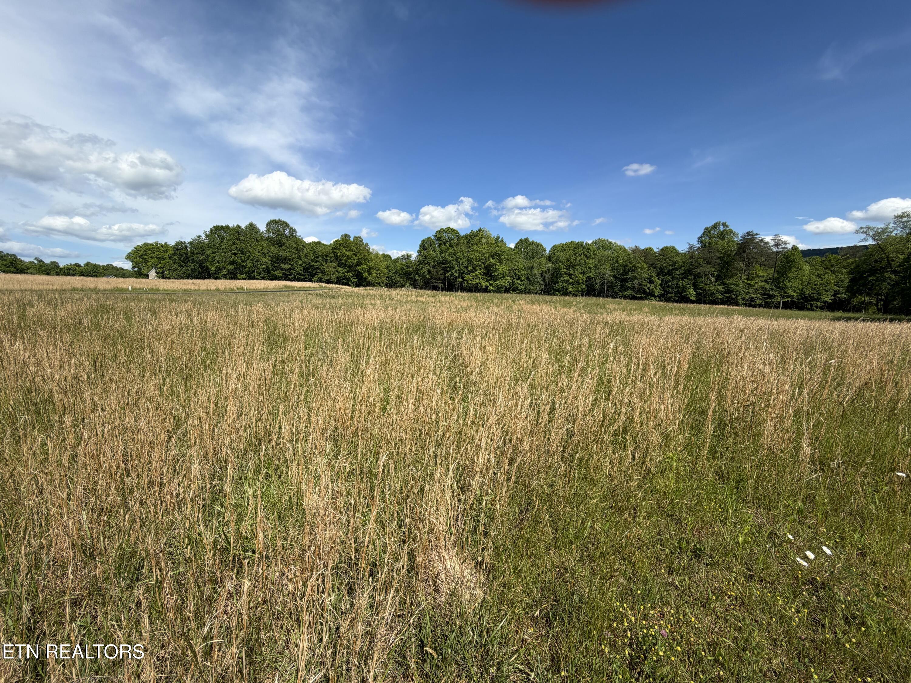 L. 78 & 79 Marie Lane Crossville TN 38555