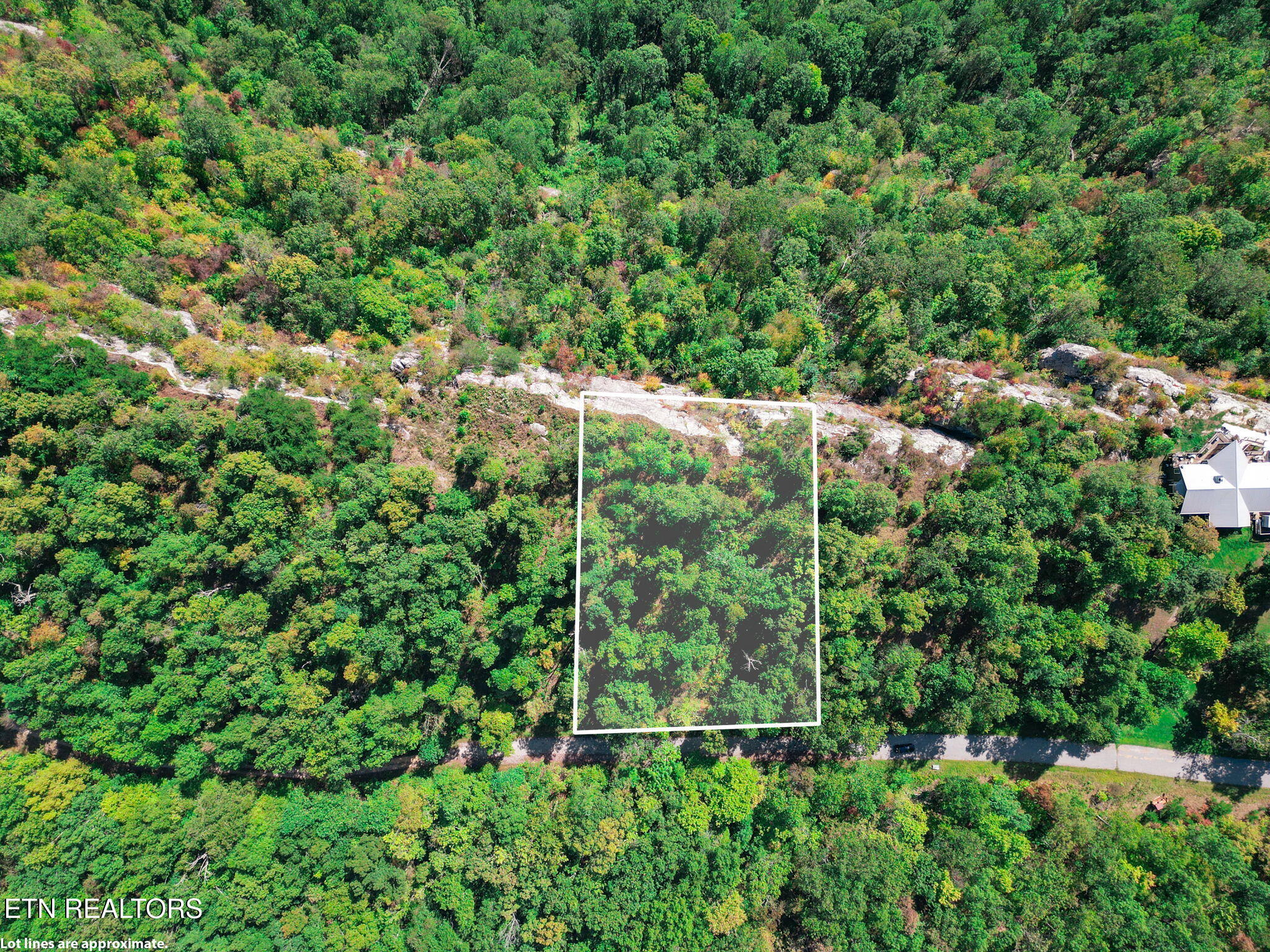 Lot 31 Mount Clouds Trail Duff TN 37729