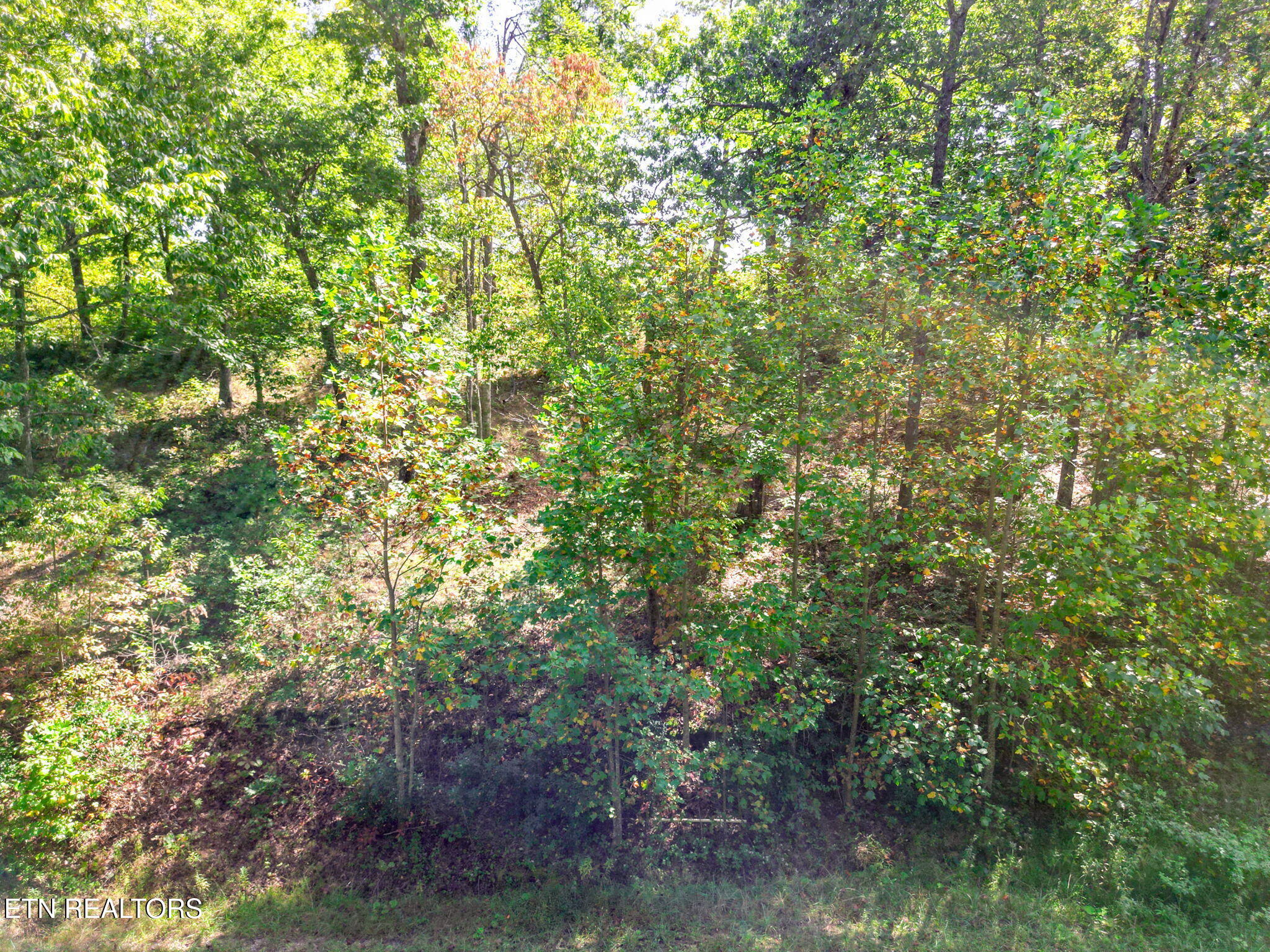 Lot 31 Mount Clouds Trail Duff TN 37729