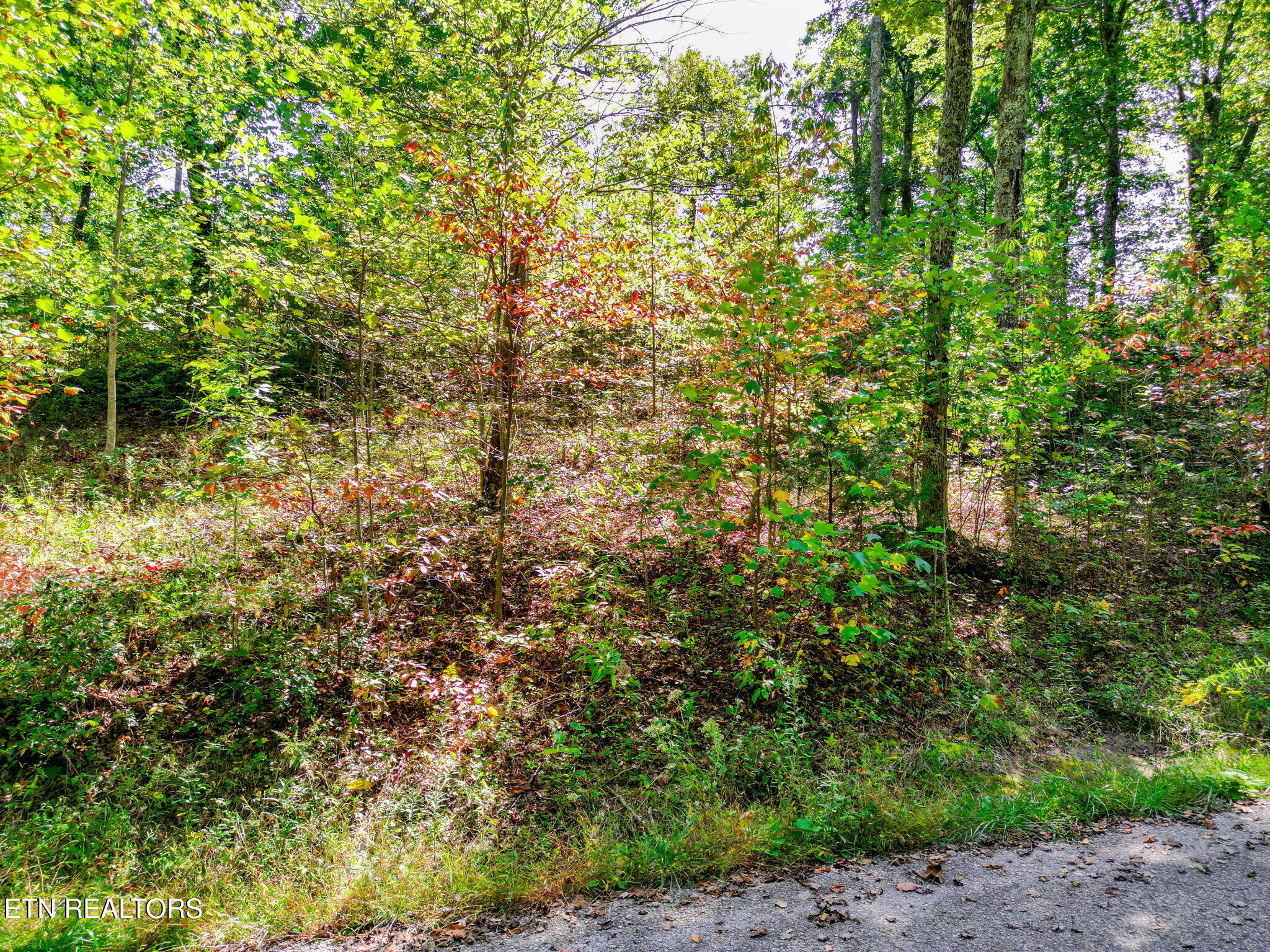 Lot 31 Mount Clouds Trail Duff TN 37729