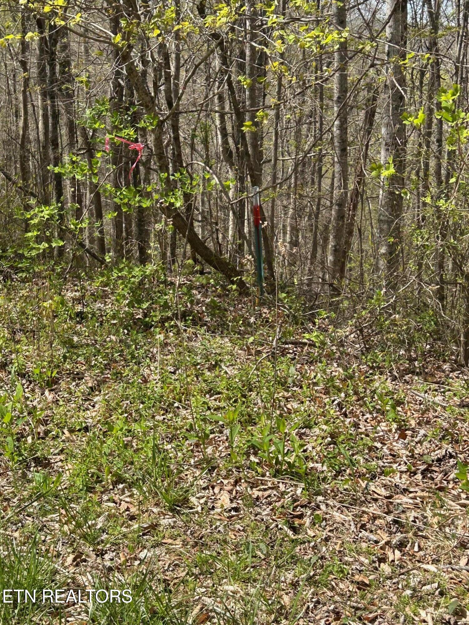 Lot 28 Jones Ridge Road Speedwell TN 37870