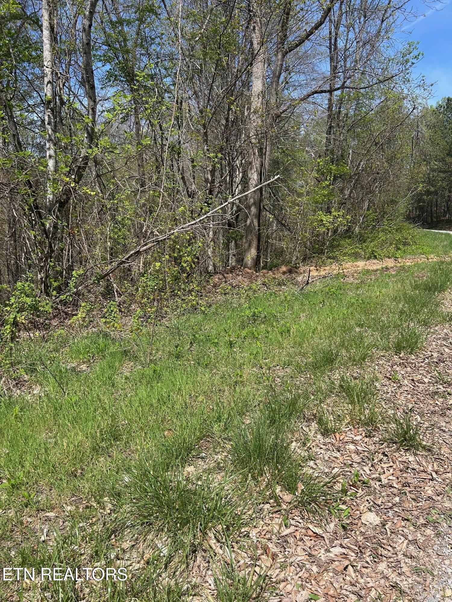 Lot 28 Jones Ridge Road Speedwell TN 37870