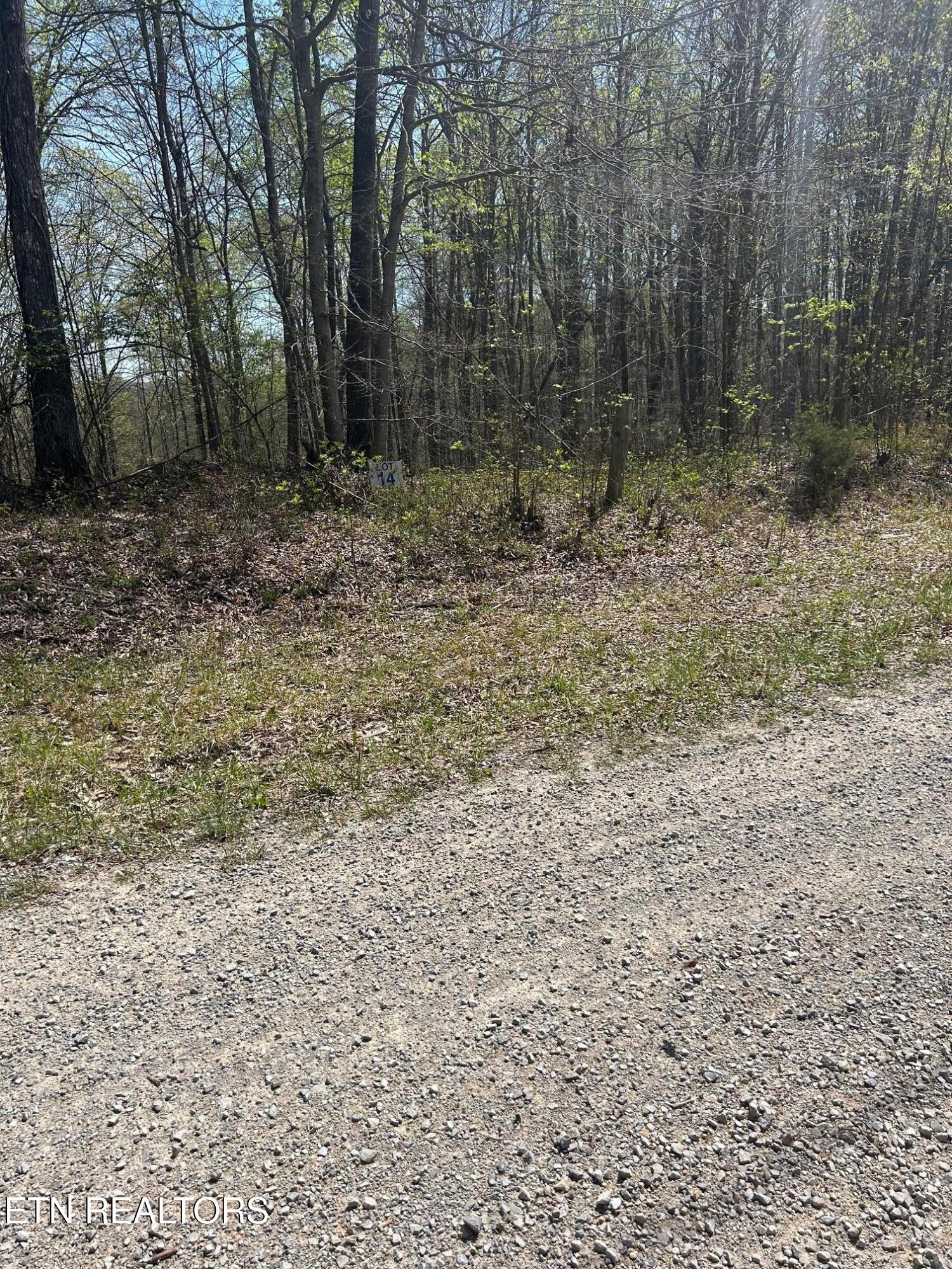 Lot 28 Jones Ridge Road Speedwell TN 37870