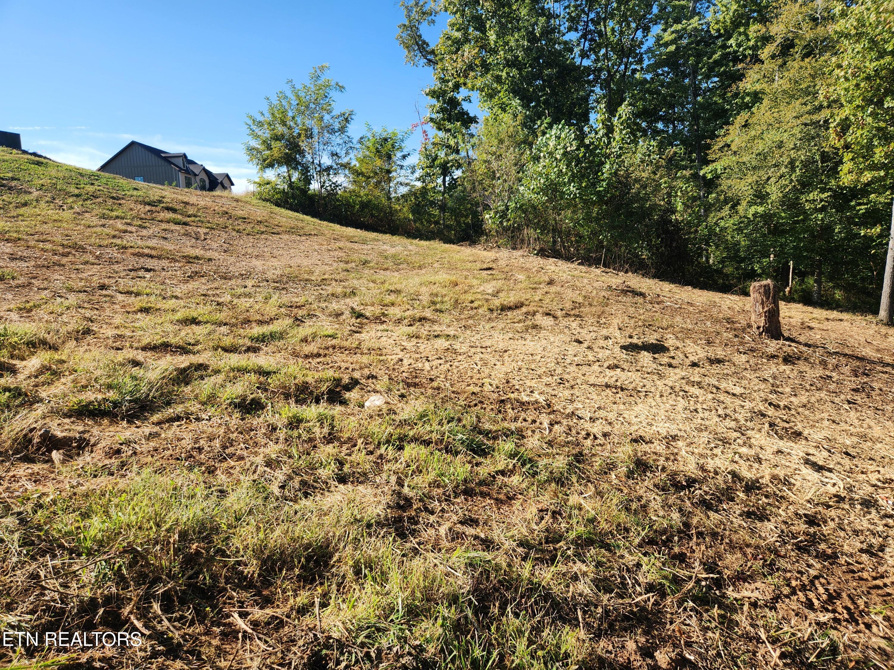 Lot 36 Bridgewater Pointe Boulevard Morristown TN 37816