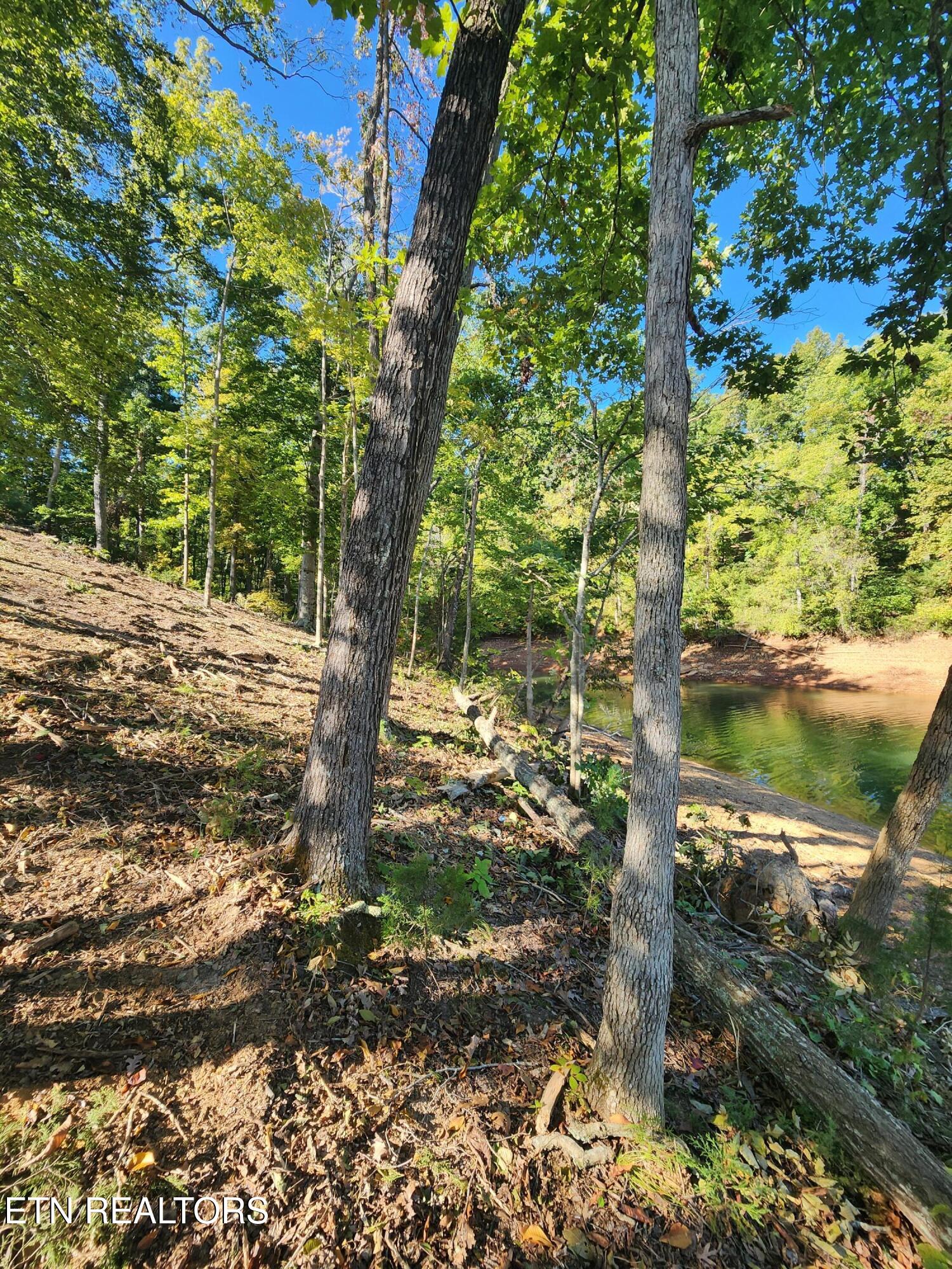 Lot 36 Bridgewater Pointe Boulevard Morristown TN 37816
