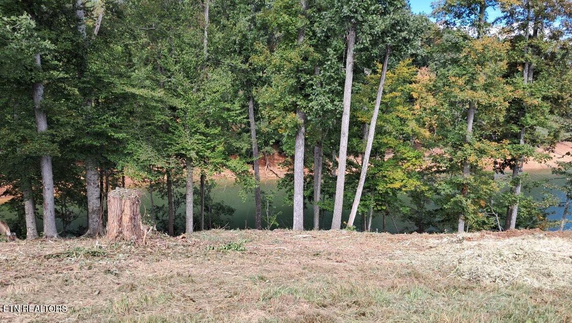 Lot 36 Bridgewater Pointe Boulevard Morristown TN 37816