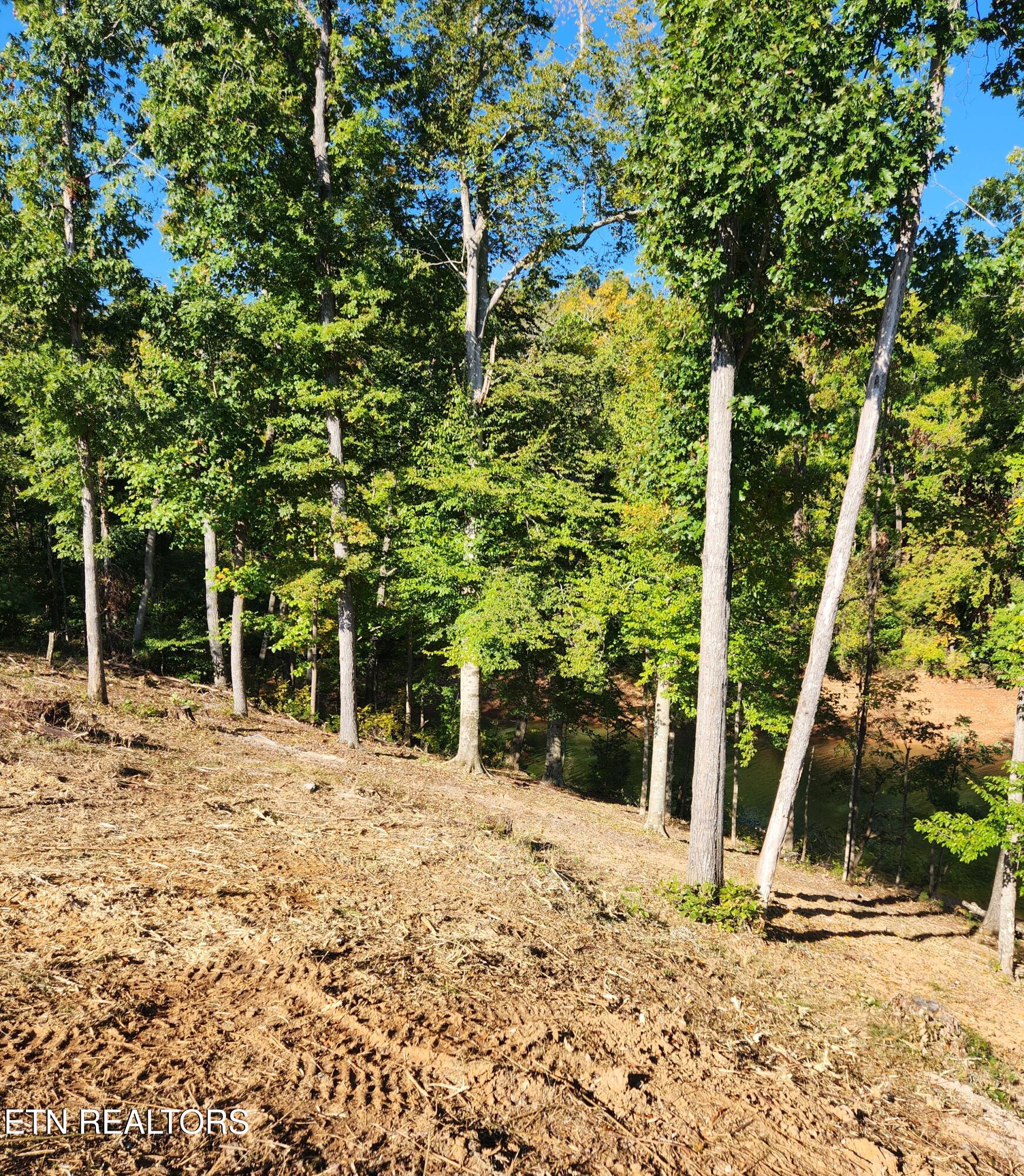Lot 36 Bridgewater Pointe Boulevard Morristown TN 37816