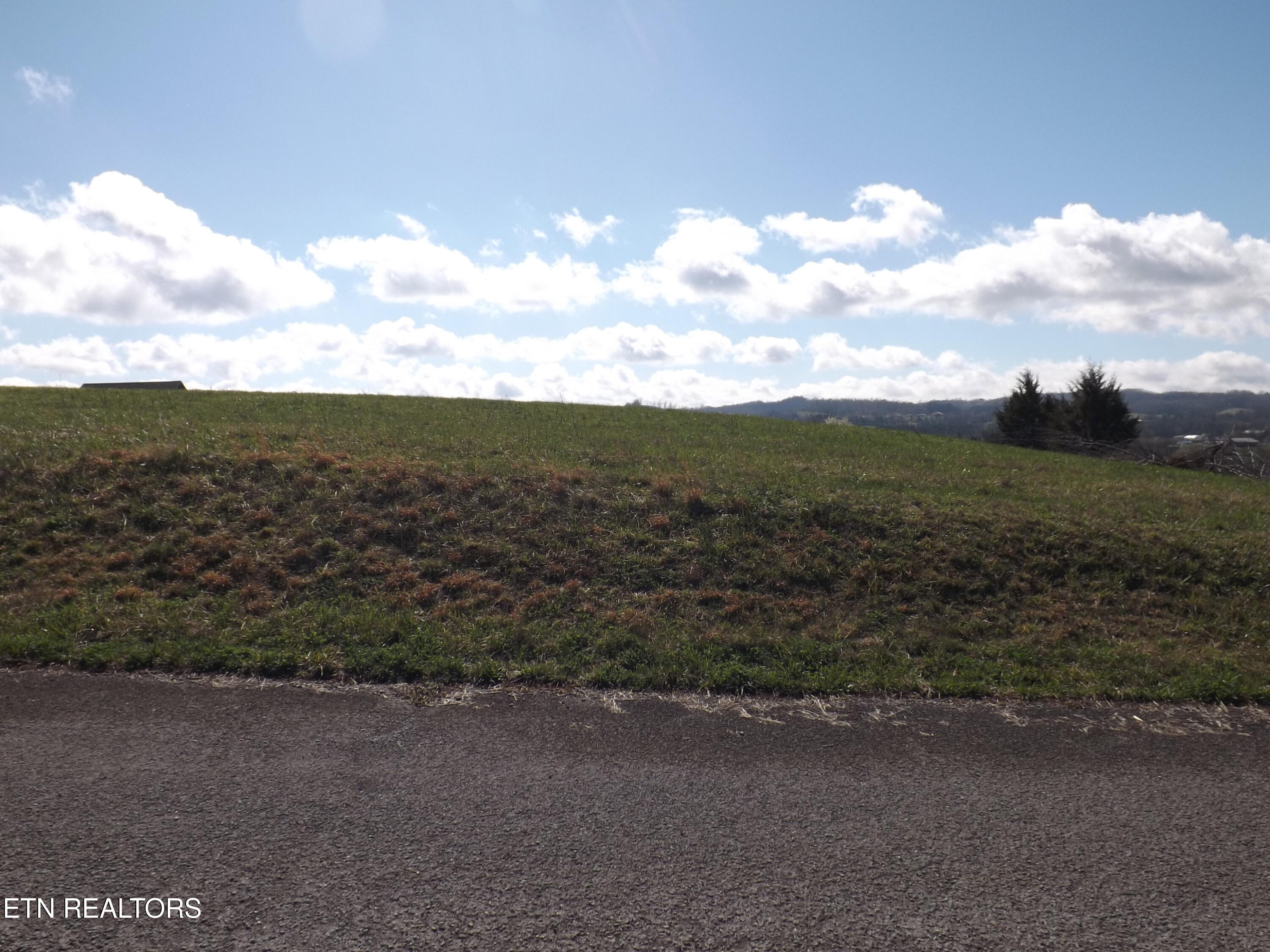 Lot 32/33 Canary Lane Speedwell TN 37870