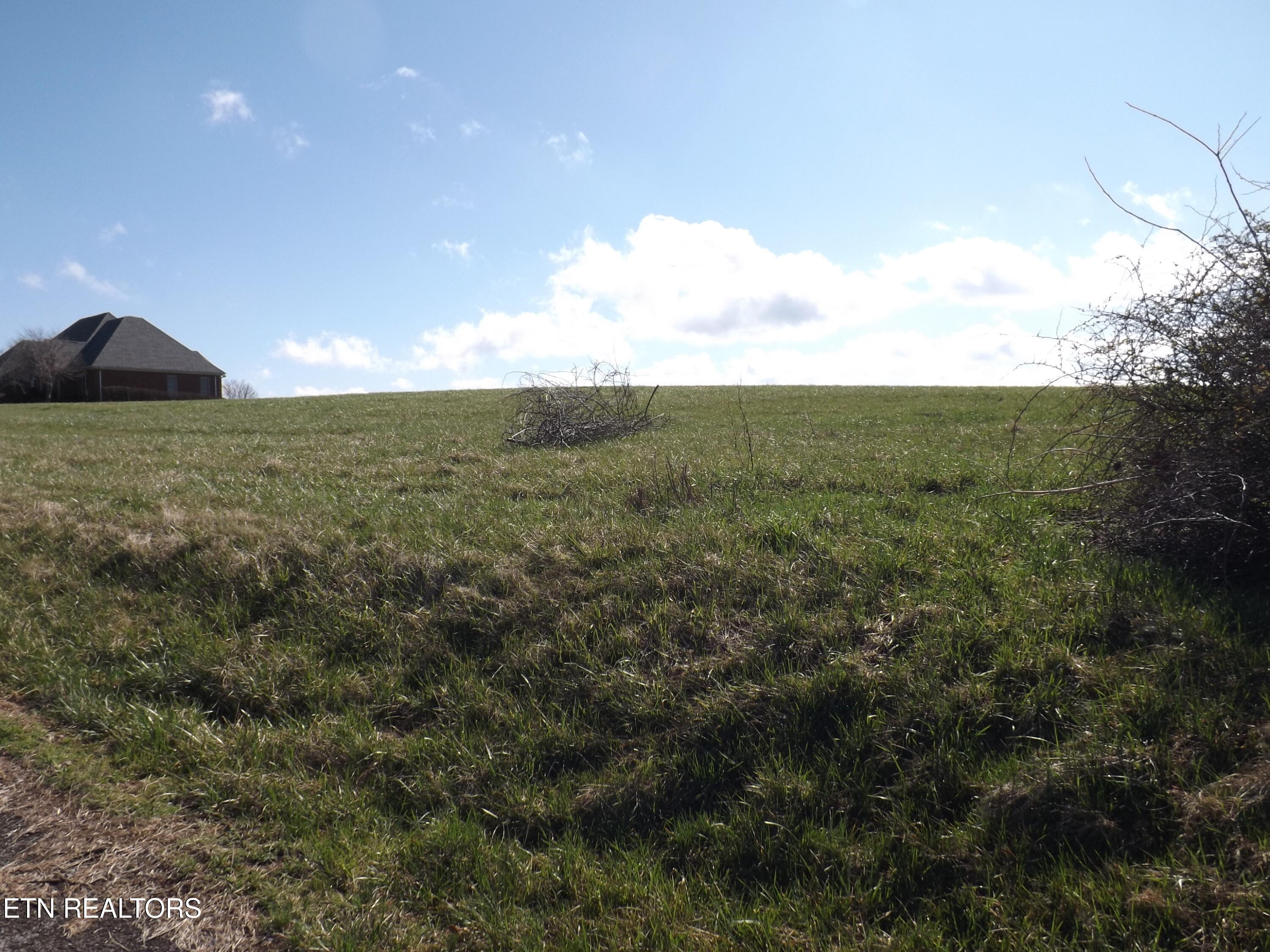 Lot 32/33 Canary Lane Speedwell TN 37870