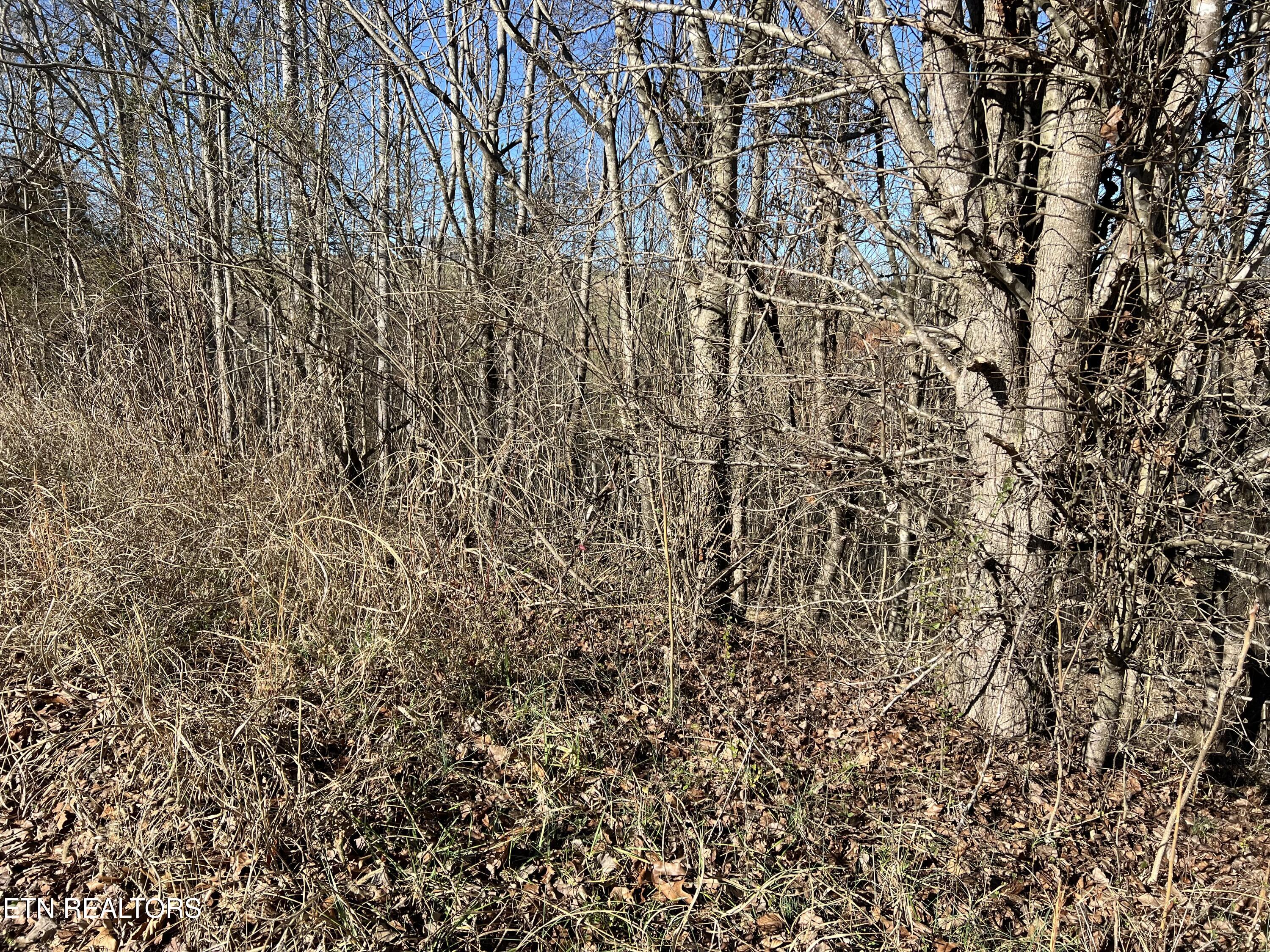 Baldwin View Drive New Market TN 37820